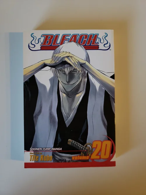 Bleach, Vol. 20