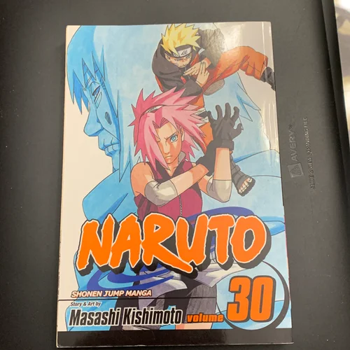 Naruto, Vol. 30