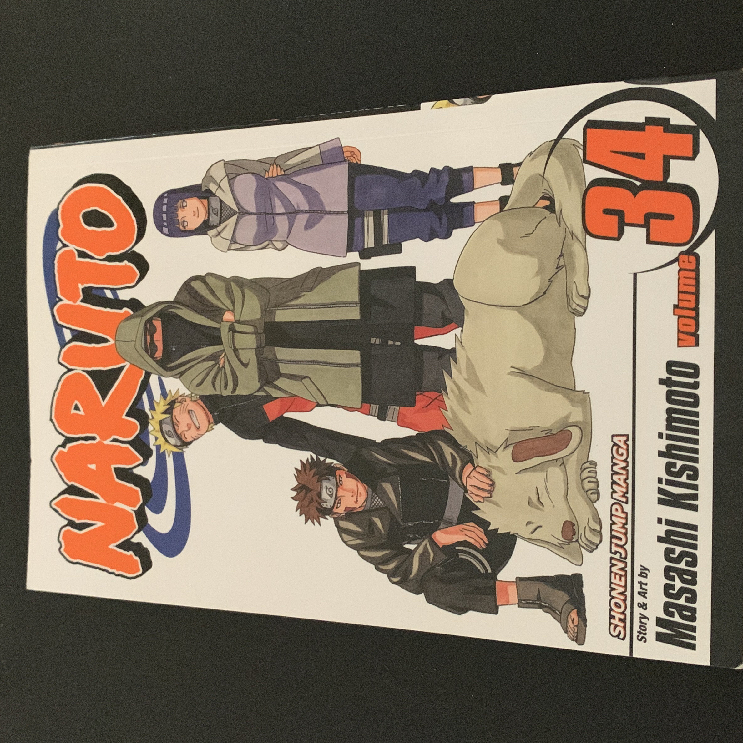 Naruto, Vol. 34