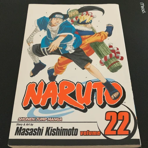 Naruto, Vol. 22