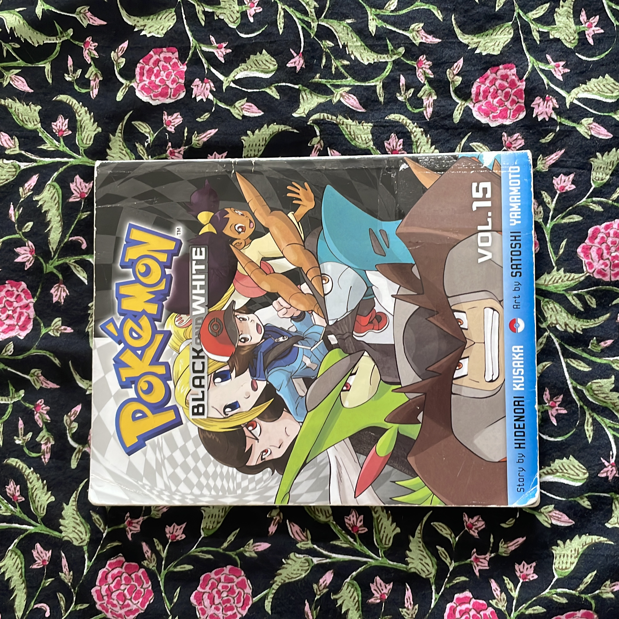 Pokémon Black and White, Vol. 15