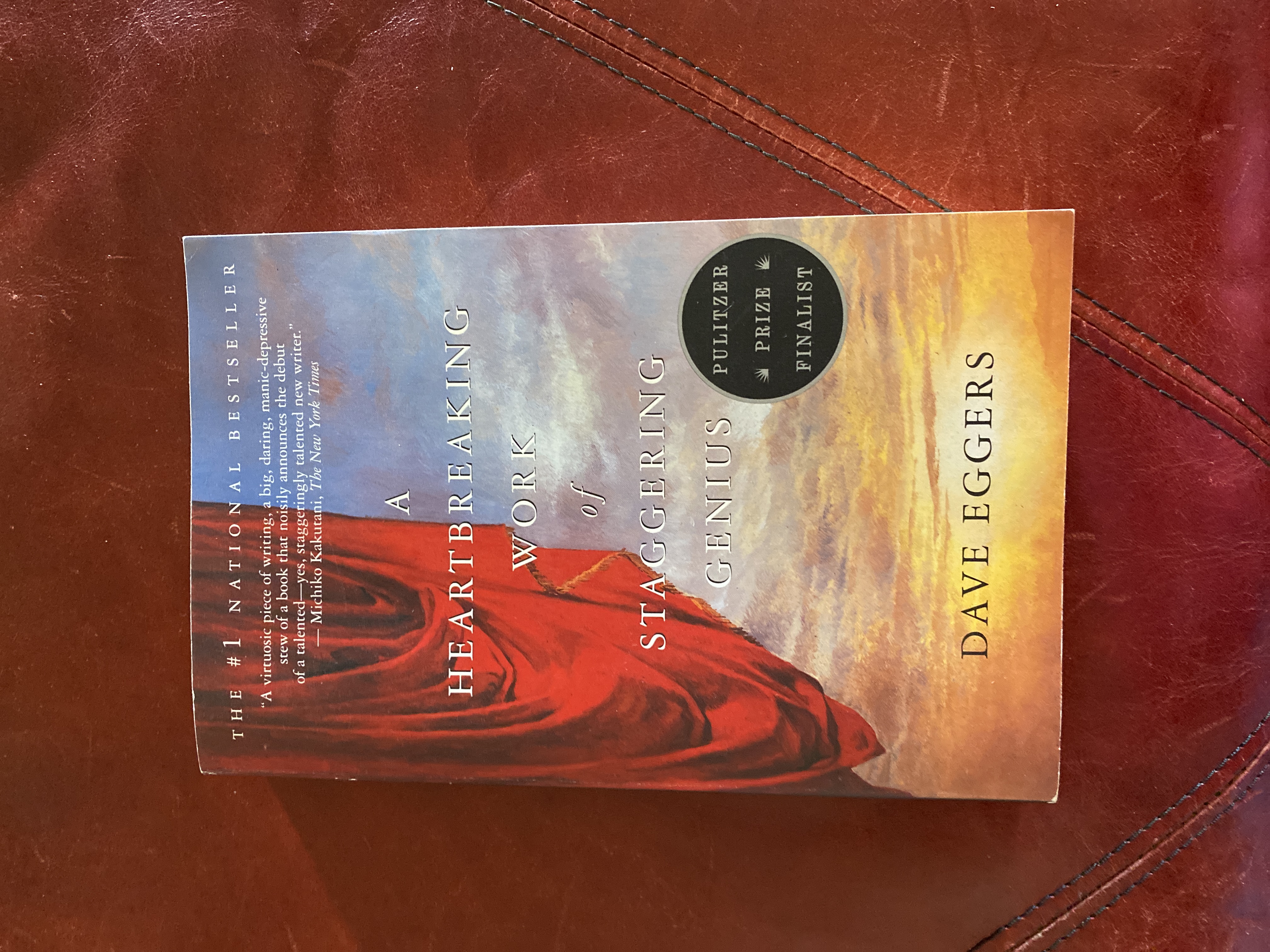 A Heartbreaking Work of Staggering Genius