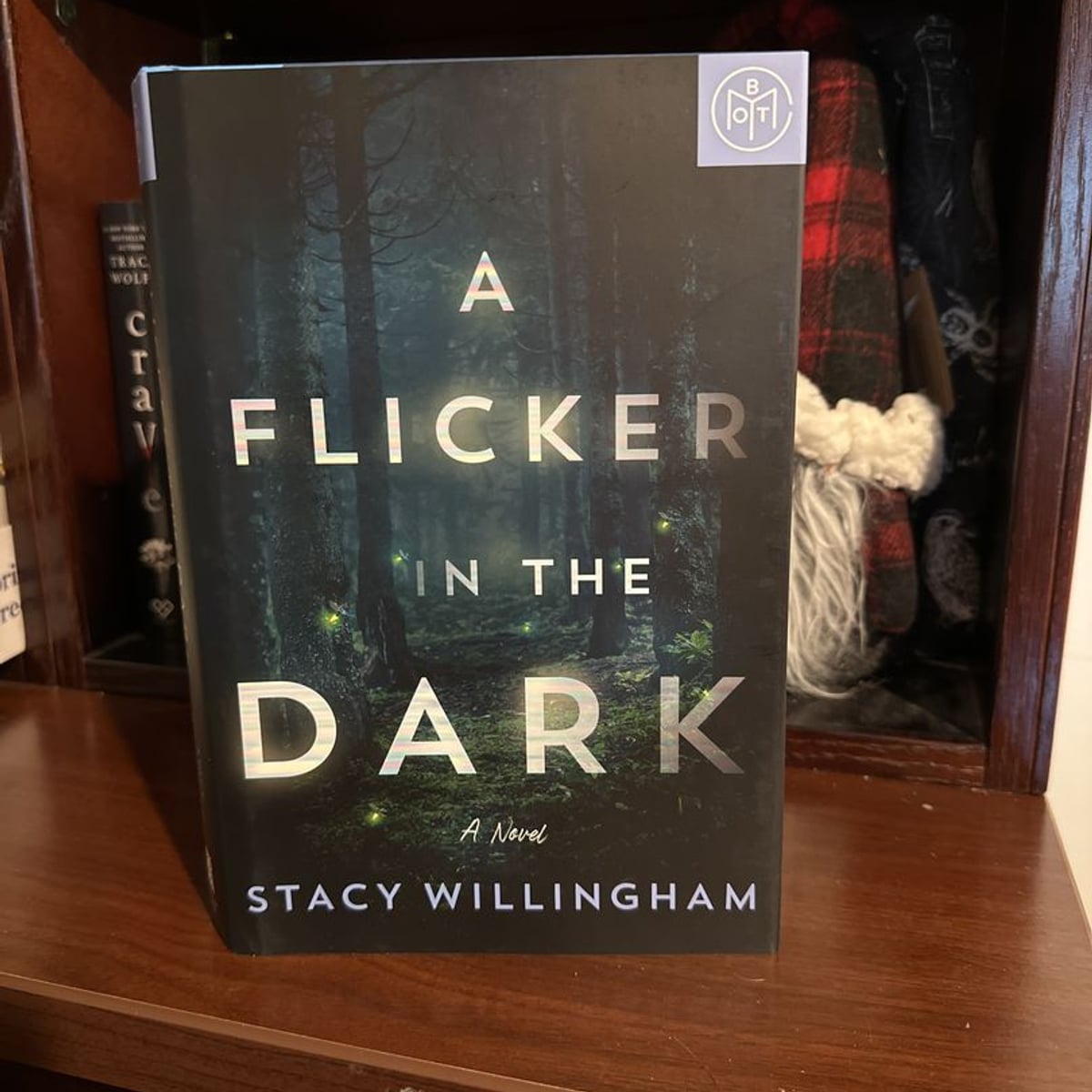 A Flicker in the Dark by Stacy Willingham, | PangoBooks