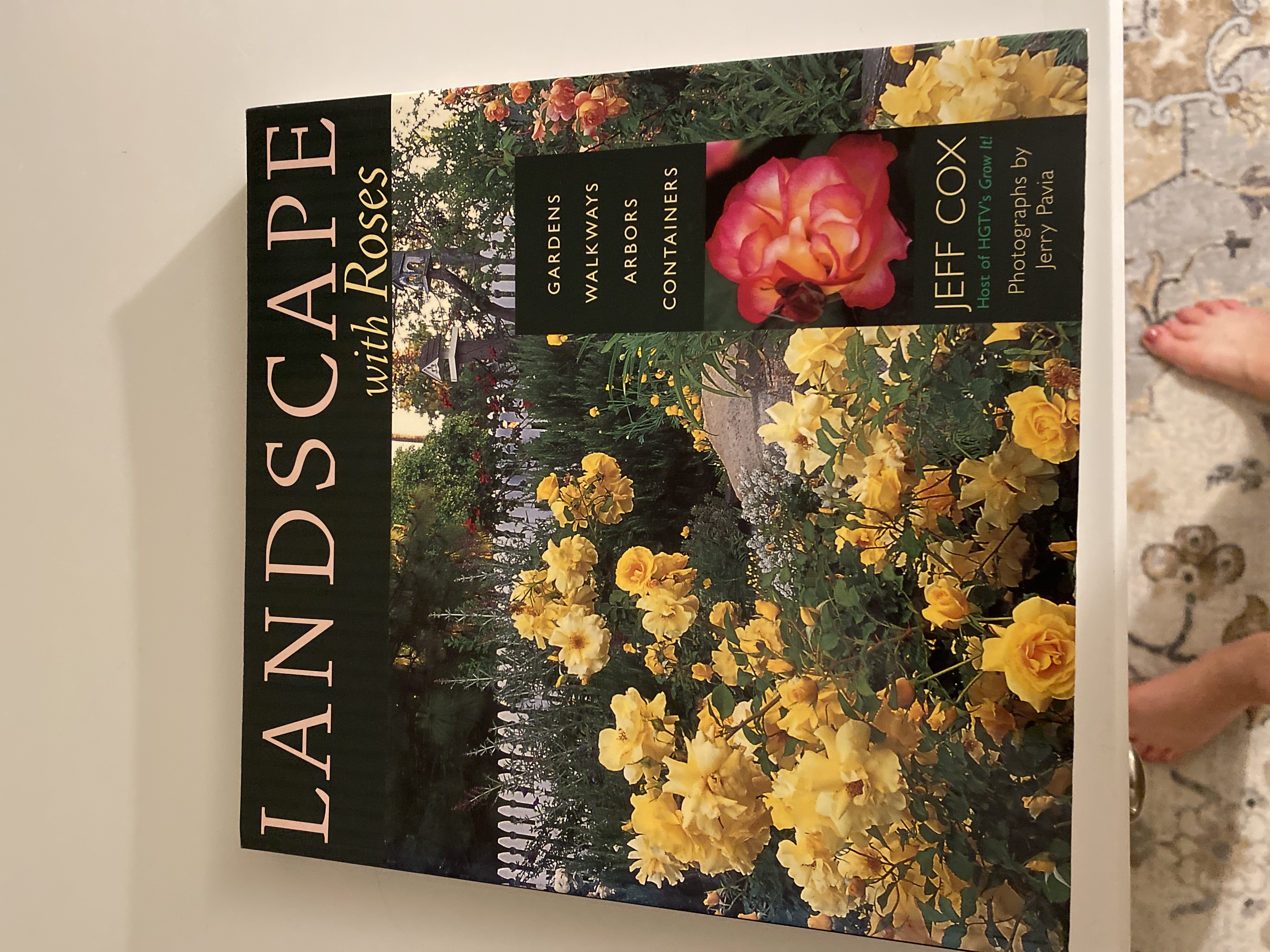 Landscape with Roses