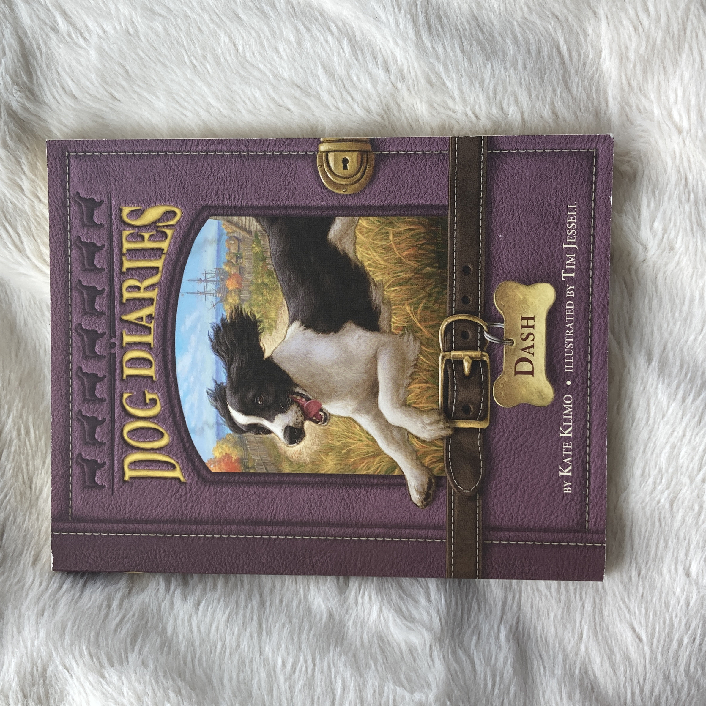 Dog Diaries #5: Dash