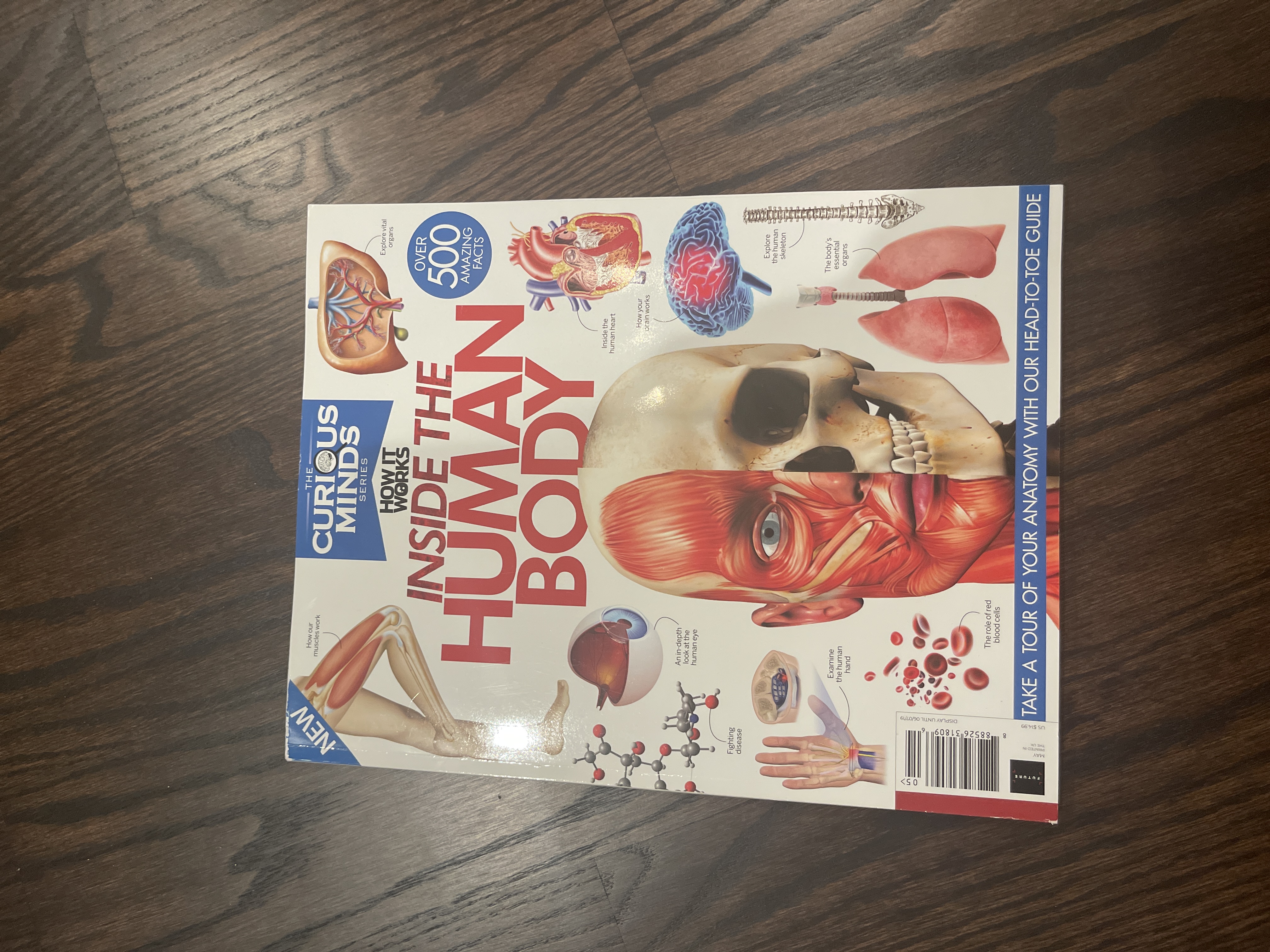 The Body and How It Works