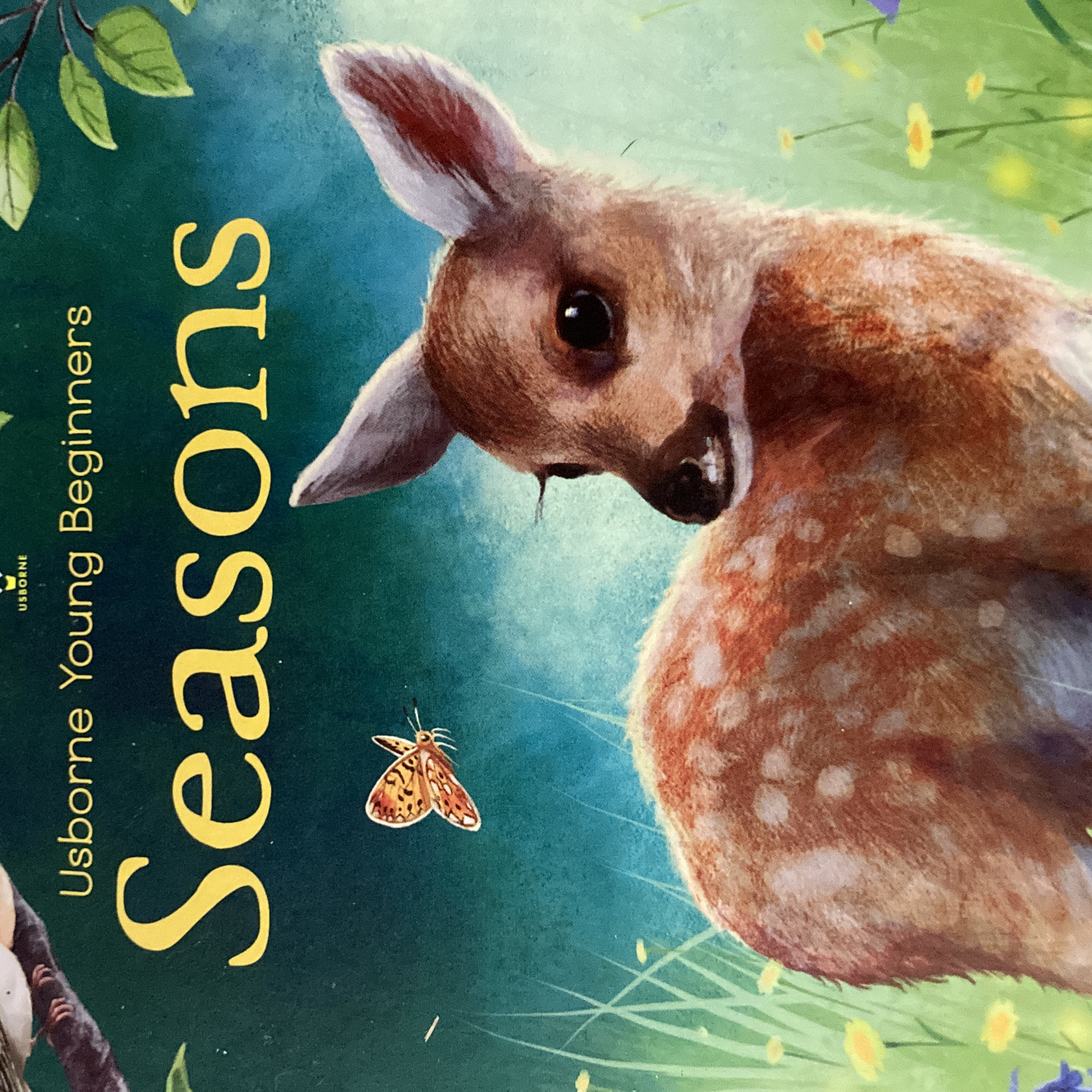 Sale image for d11c668d-0c97-4c0a-b41f-b592546ff1b2-10oJvNQvpF1wipvukvDMvl-475e74f2-3d13-4cee-a0fc-52a52dd46531-v2LiWkrijcVTlXbuvIGHZHwhcrl1