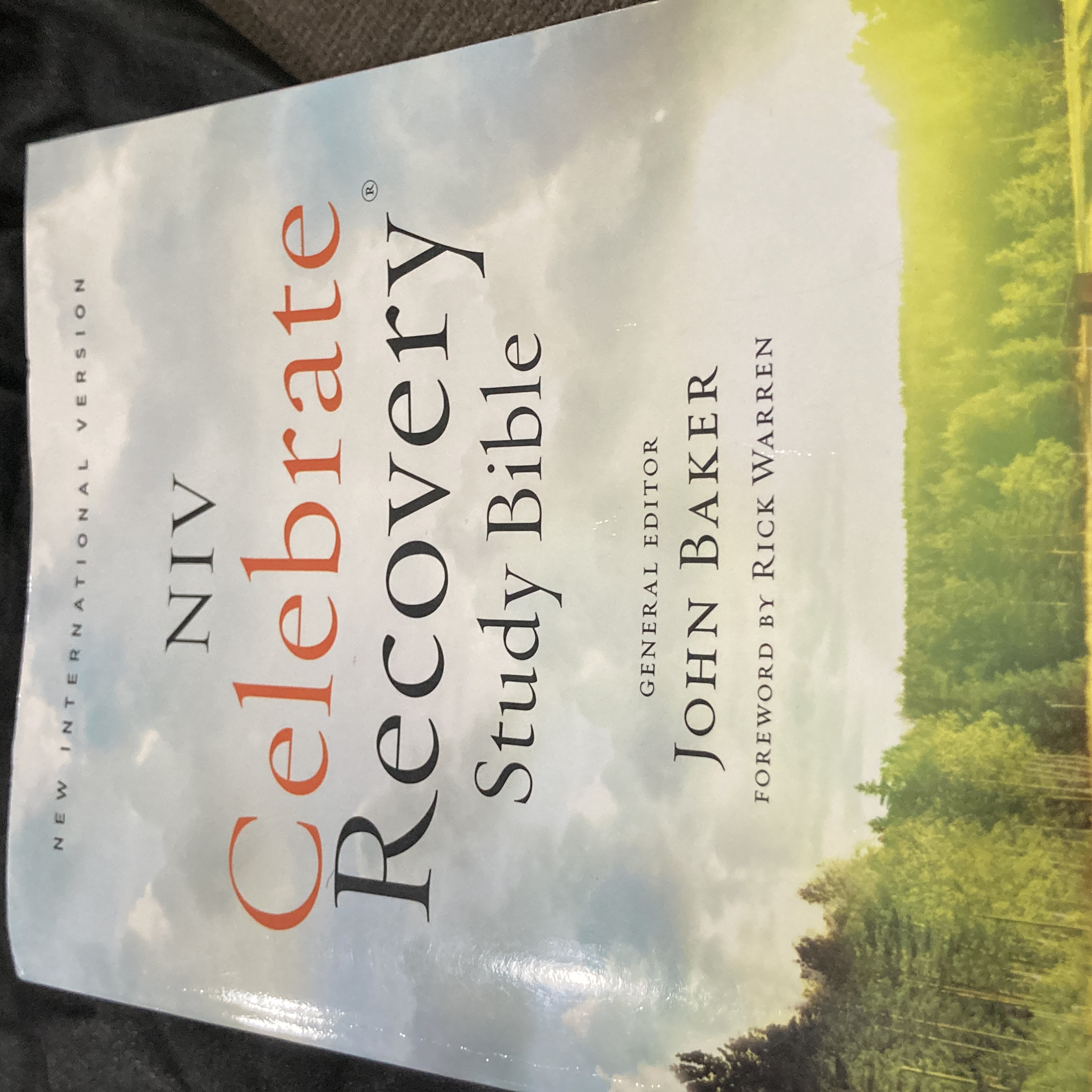 NIV, Celebrate Recovery Study Bible, Paperback