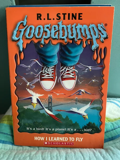 How I Learned to Fly