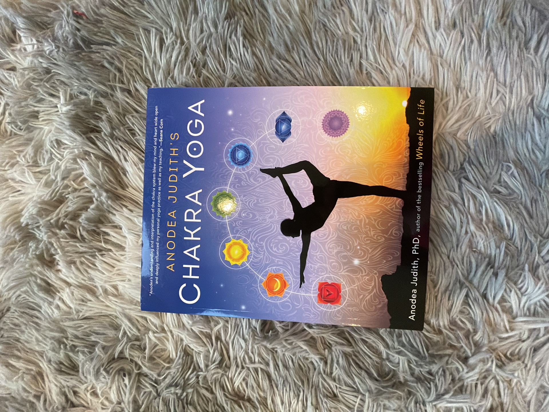 Anodea Judith's Chakra Yoga