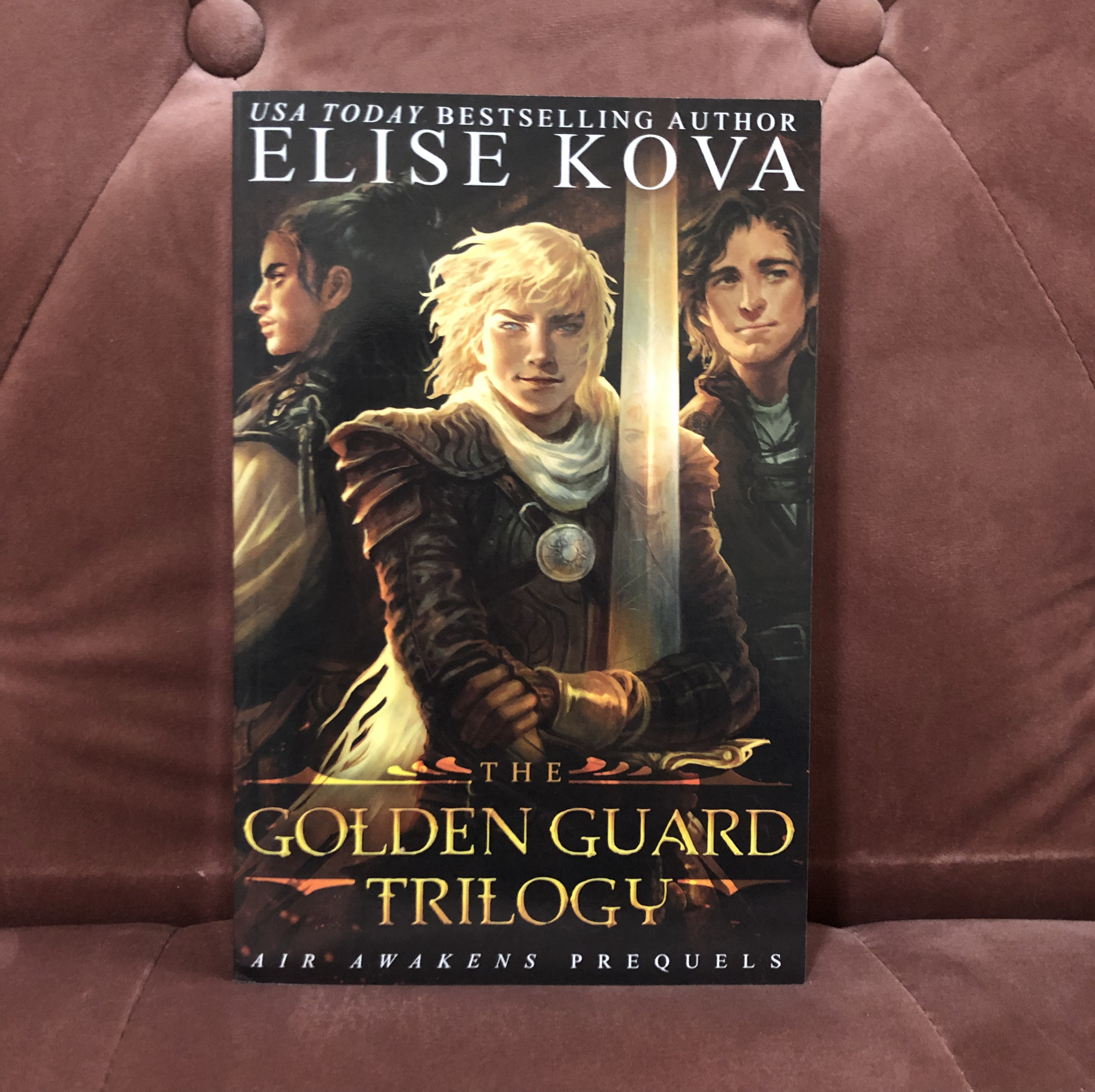 The Golden Guard Trilogy Boxed Set