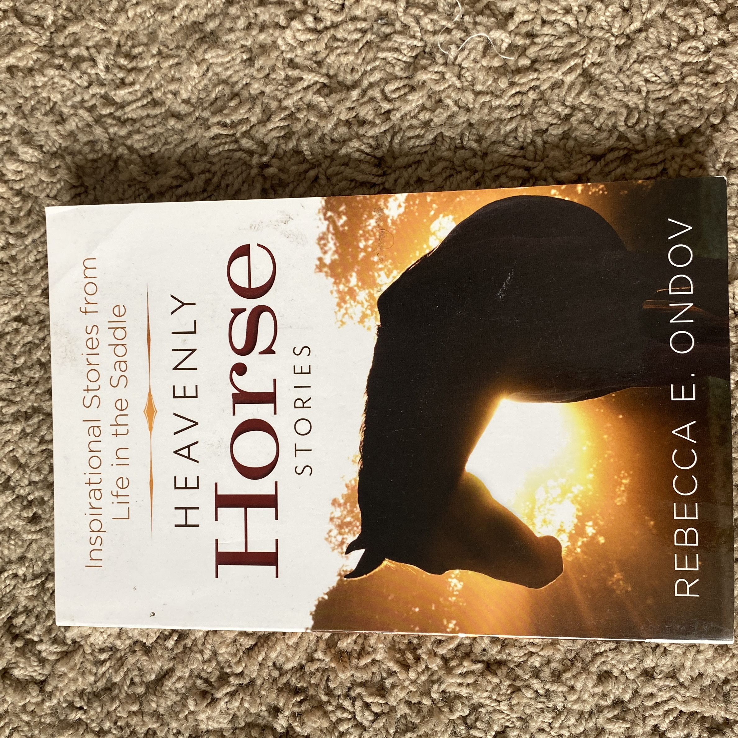 Heavenly Horse Stories