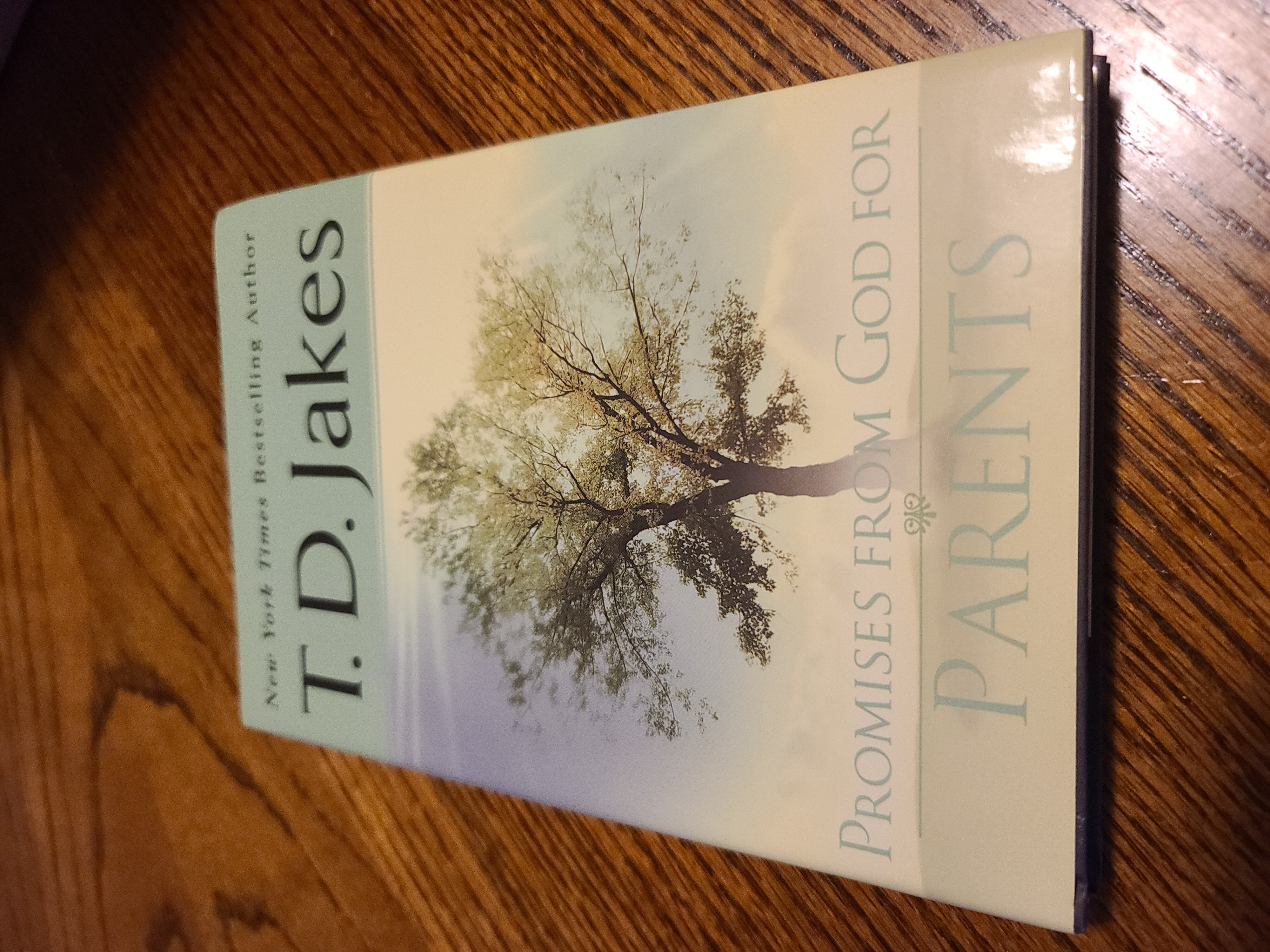 Promises from God for Parents
