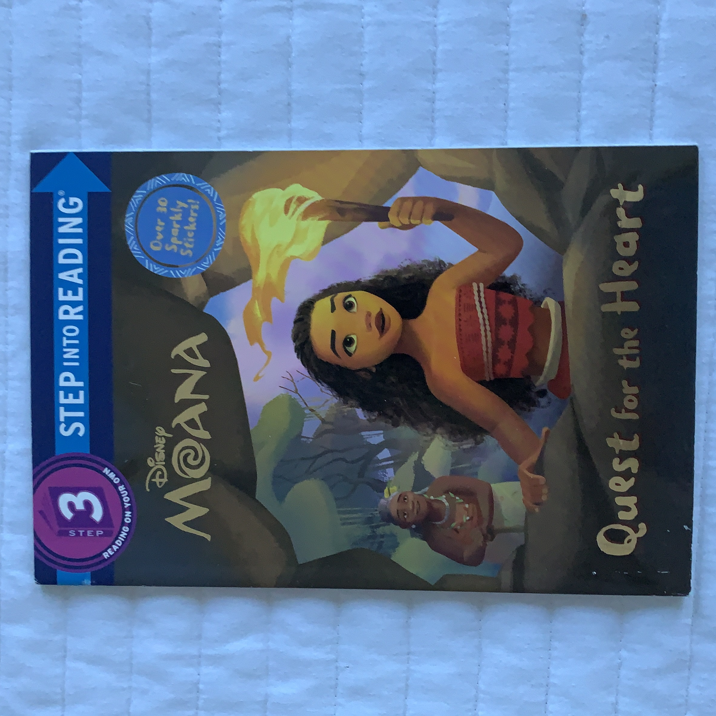 Quest for the Heart (Disney Moana)