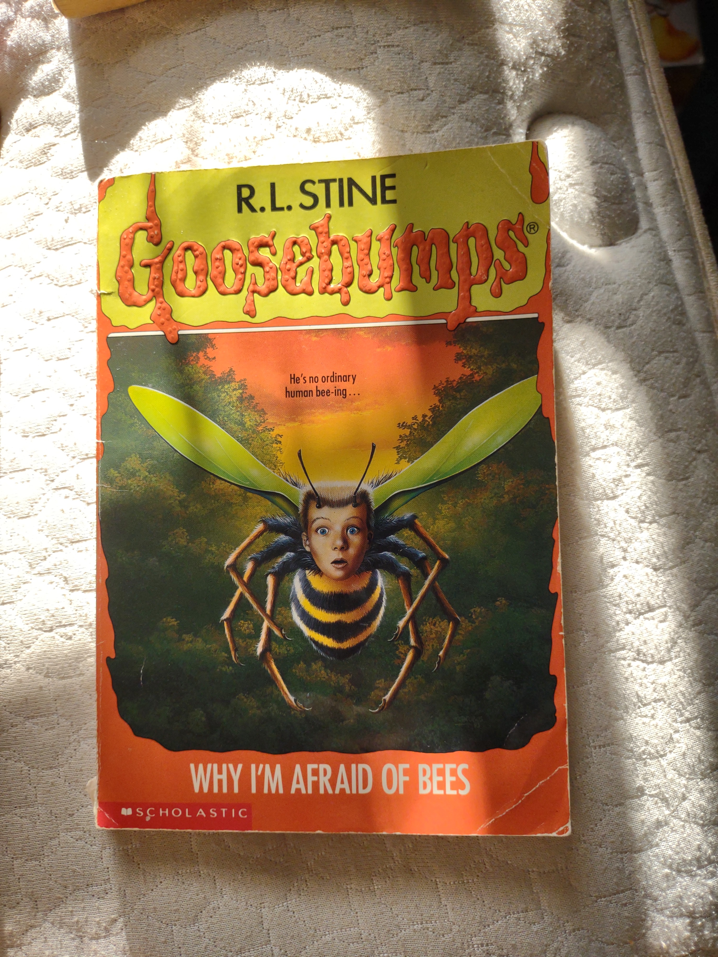 Why I'm Afraid of Bees