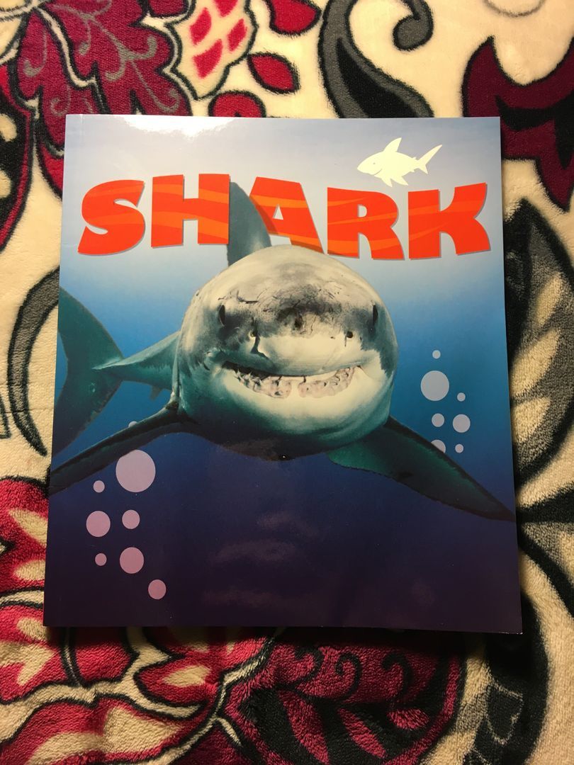 Discover Sharks - Pack Scholastic English Language
