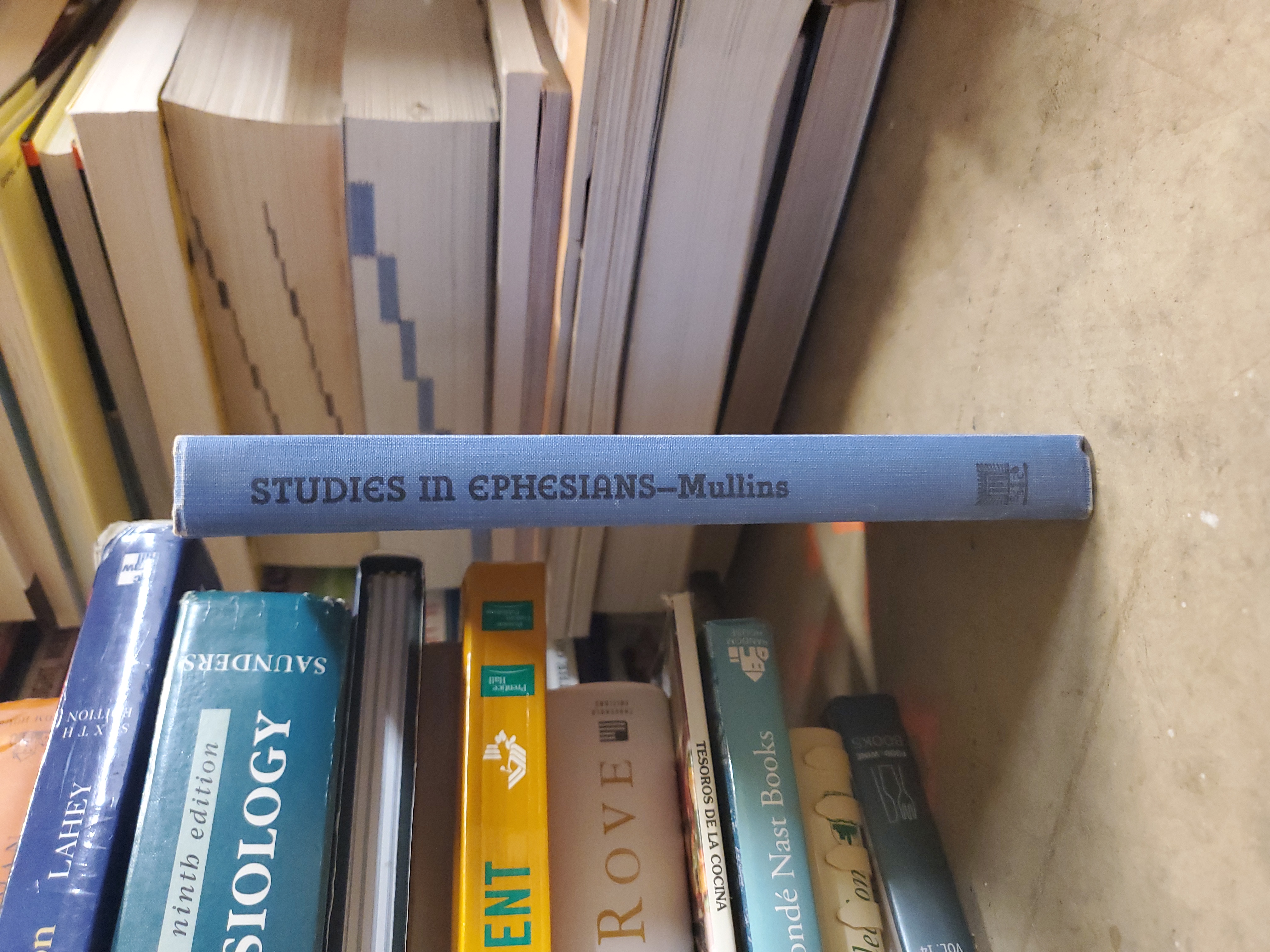 Studies in Ephesians