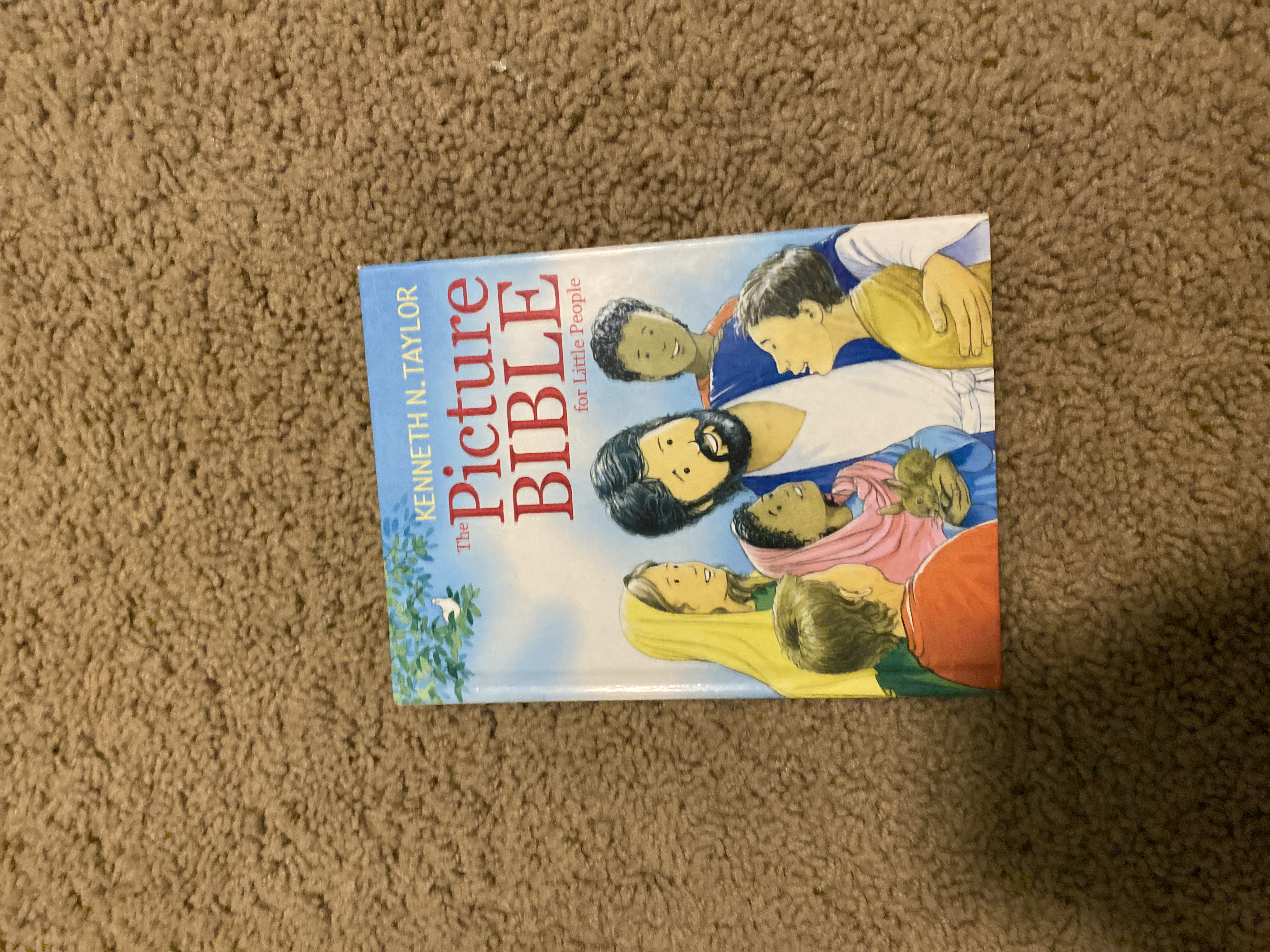 The Picture Bible for Little People