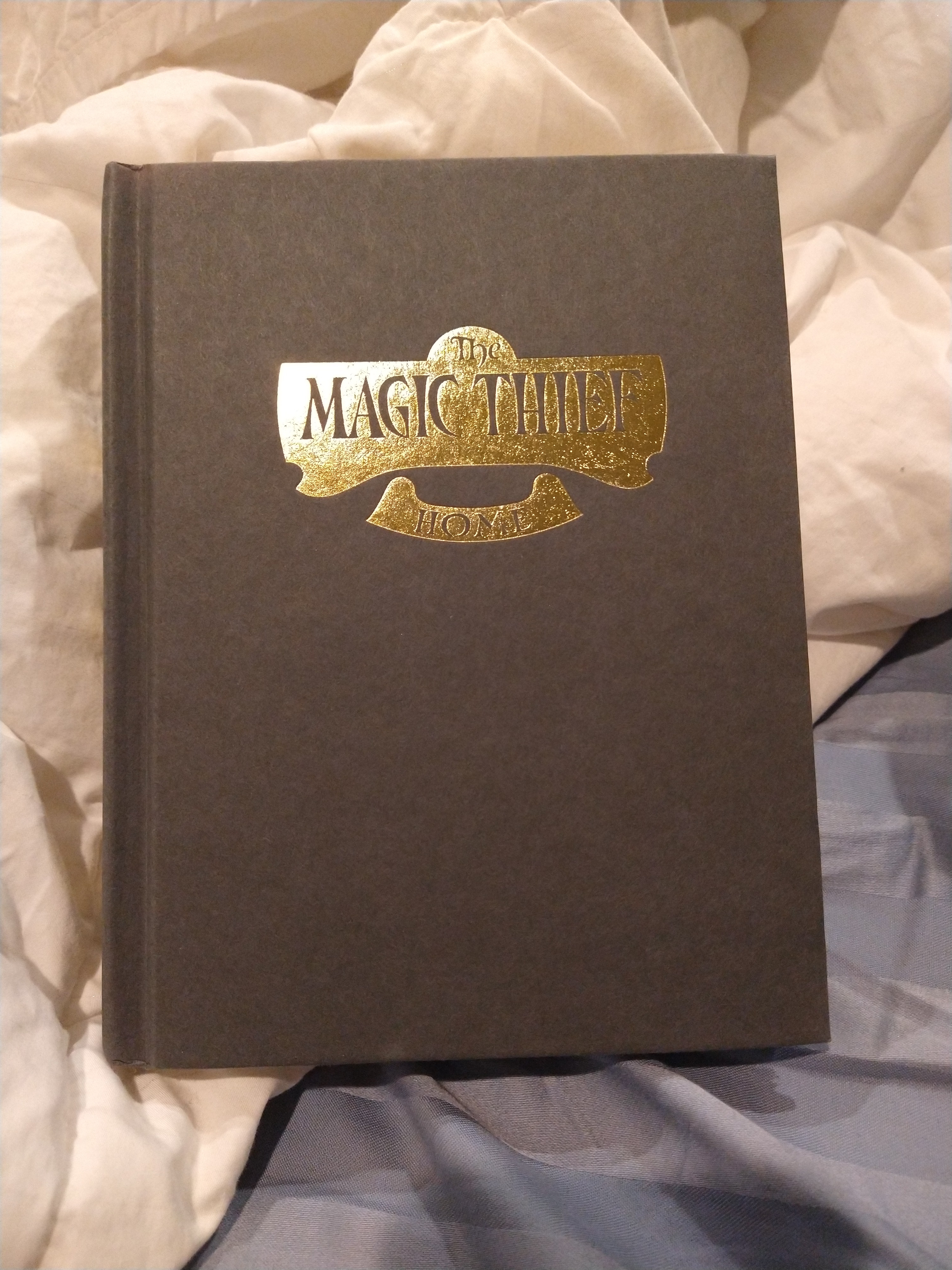 The Magic Thief: Home