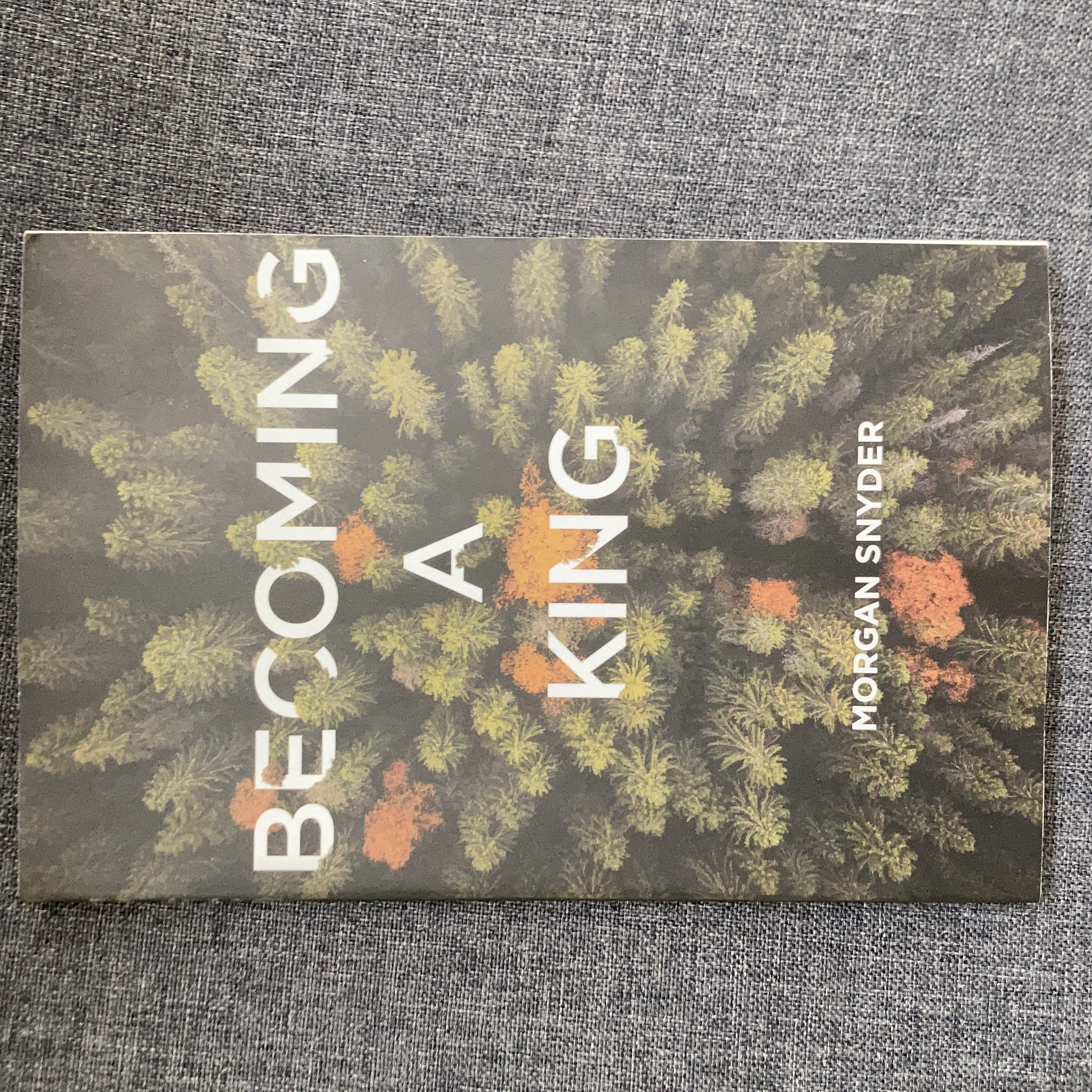 Becoming a King
