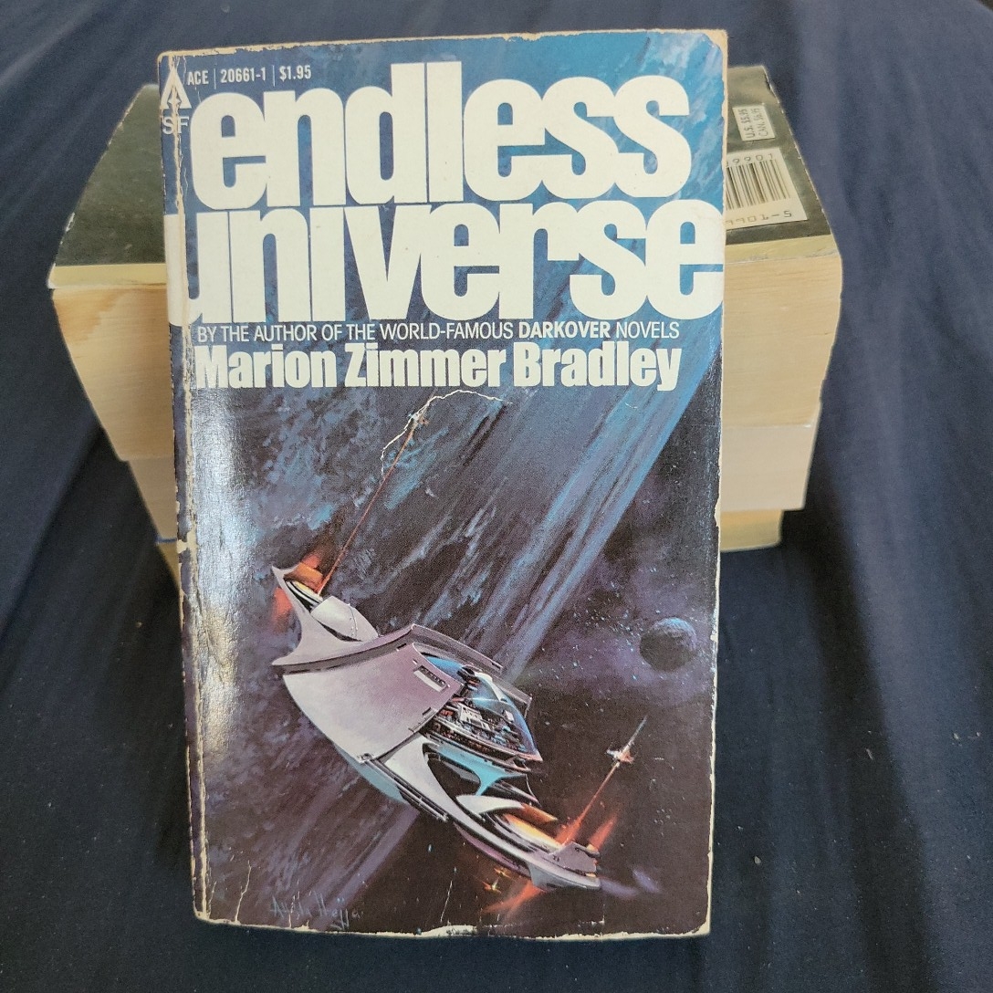 Endless Universe