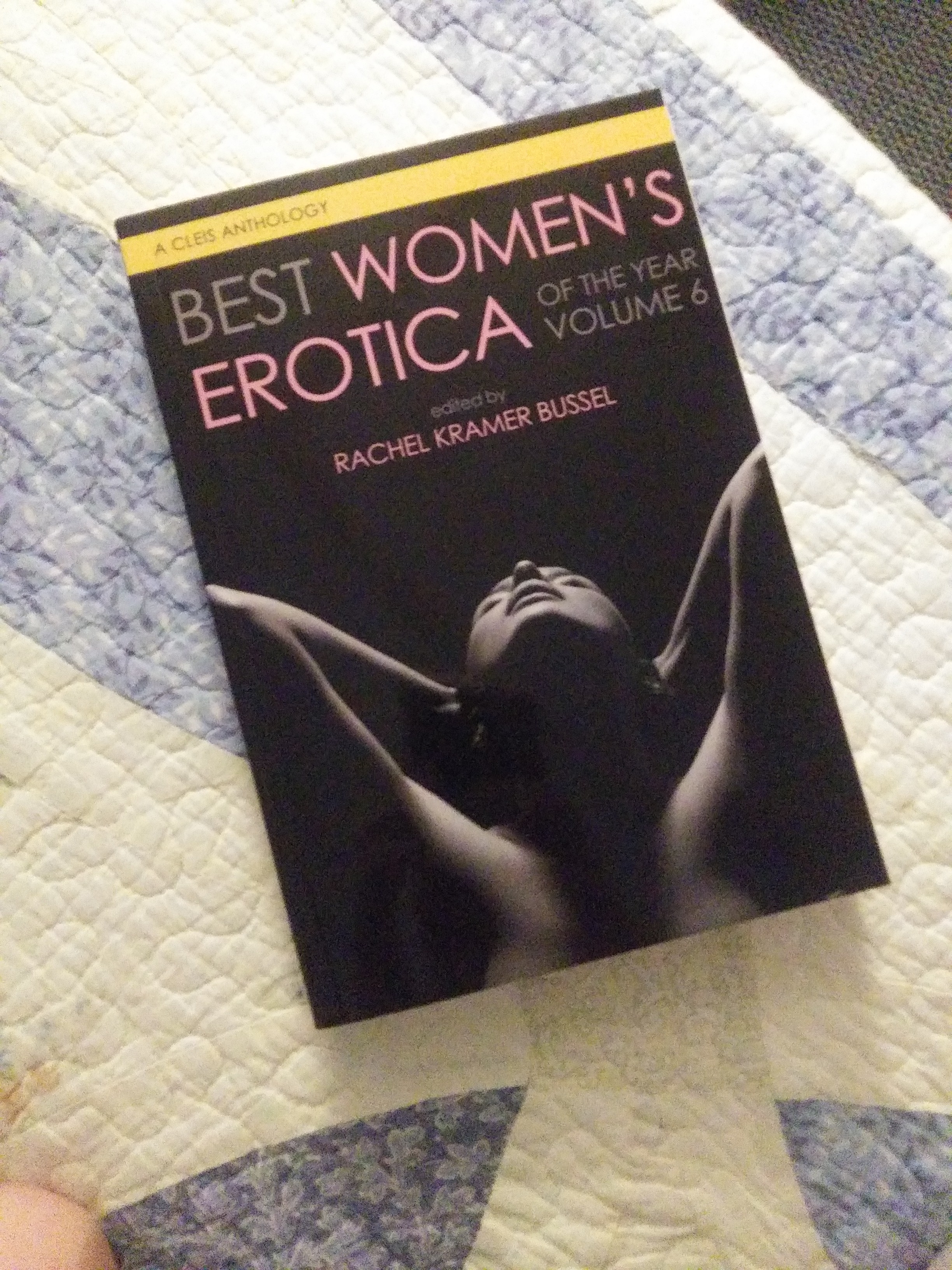 Best Women's Erotica of the Year, Volume 6