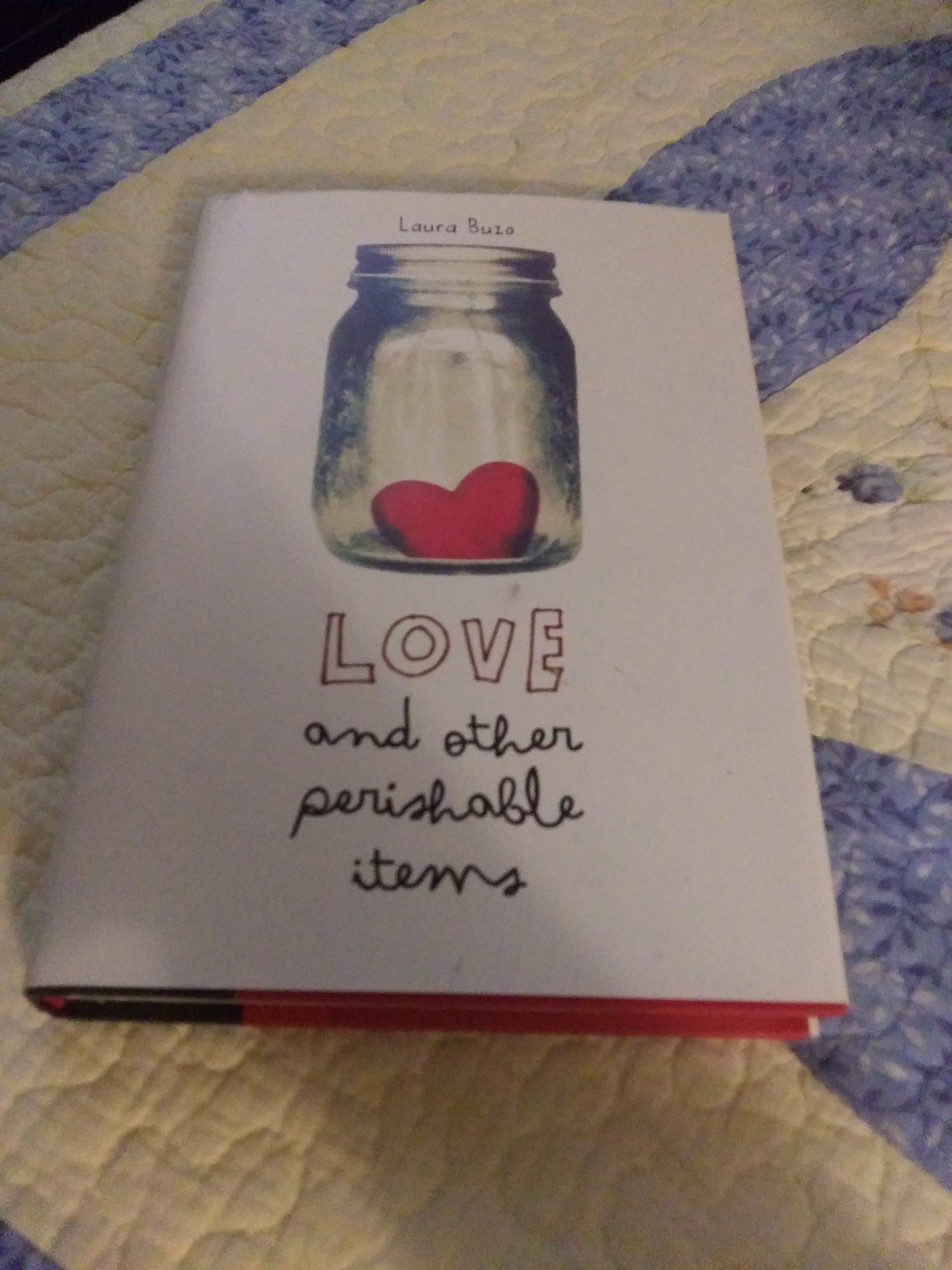 Love and Other Perishable Items