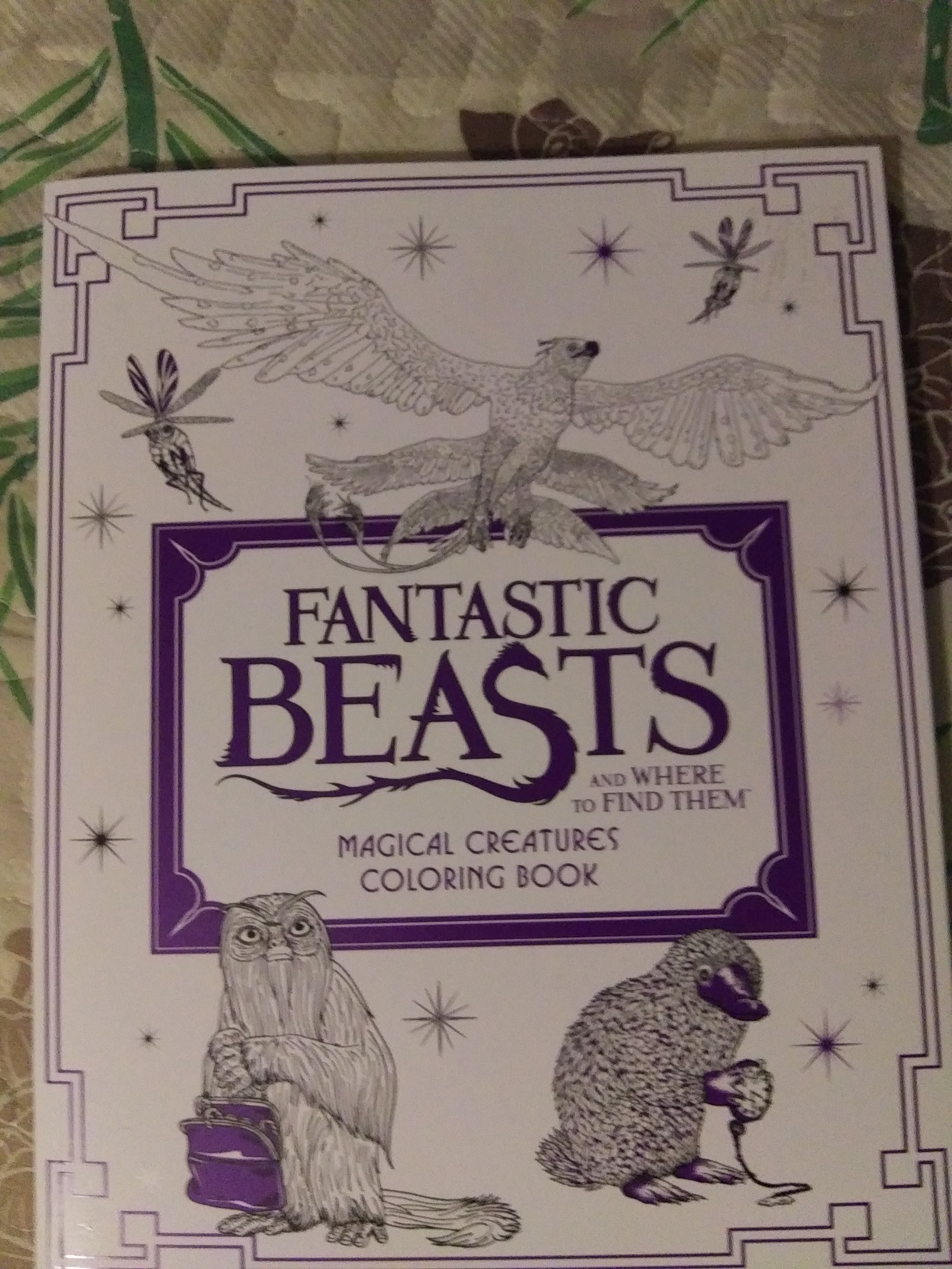 Fantastic Beasts and Where to Find Them: Magical Creatures Coloring Book