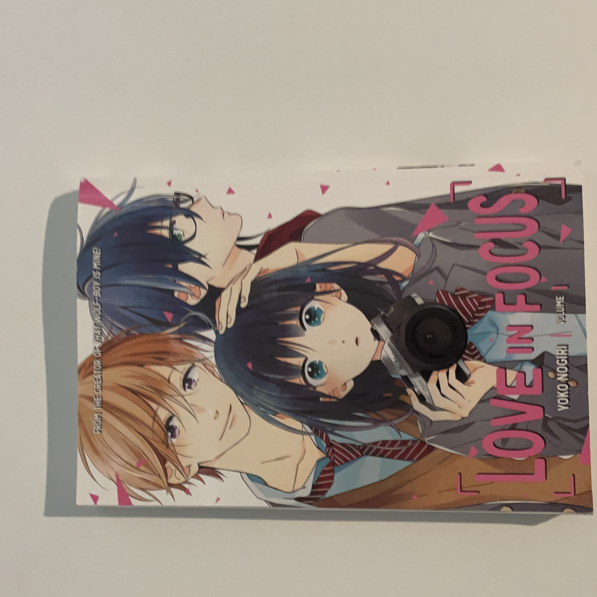 Love in Focus 1