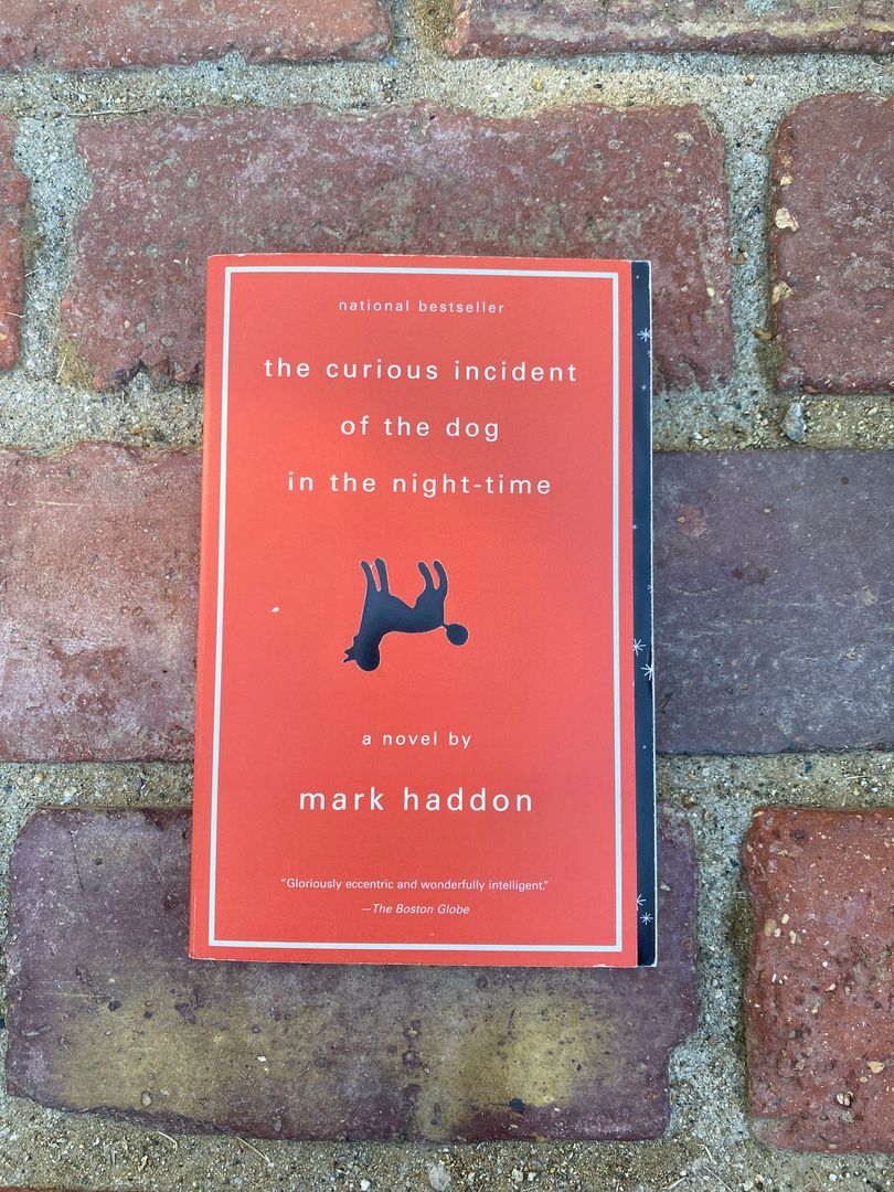 The Curious Incident of the Dog in the Night-Time