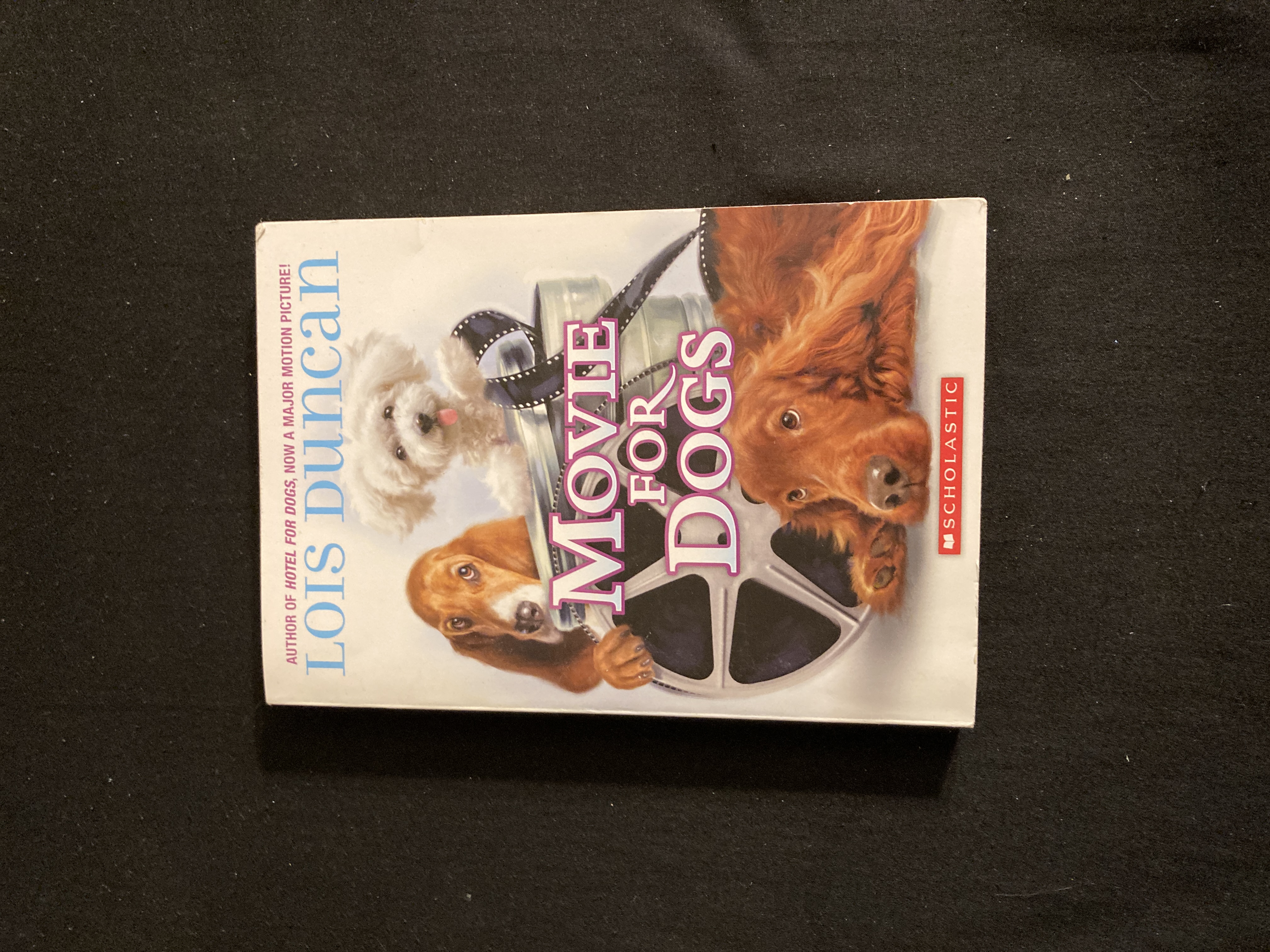 Movie for Dogs