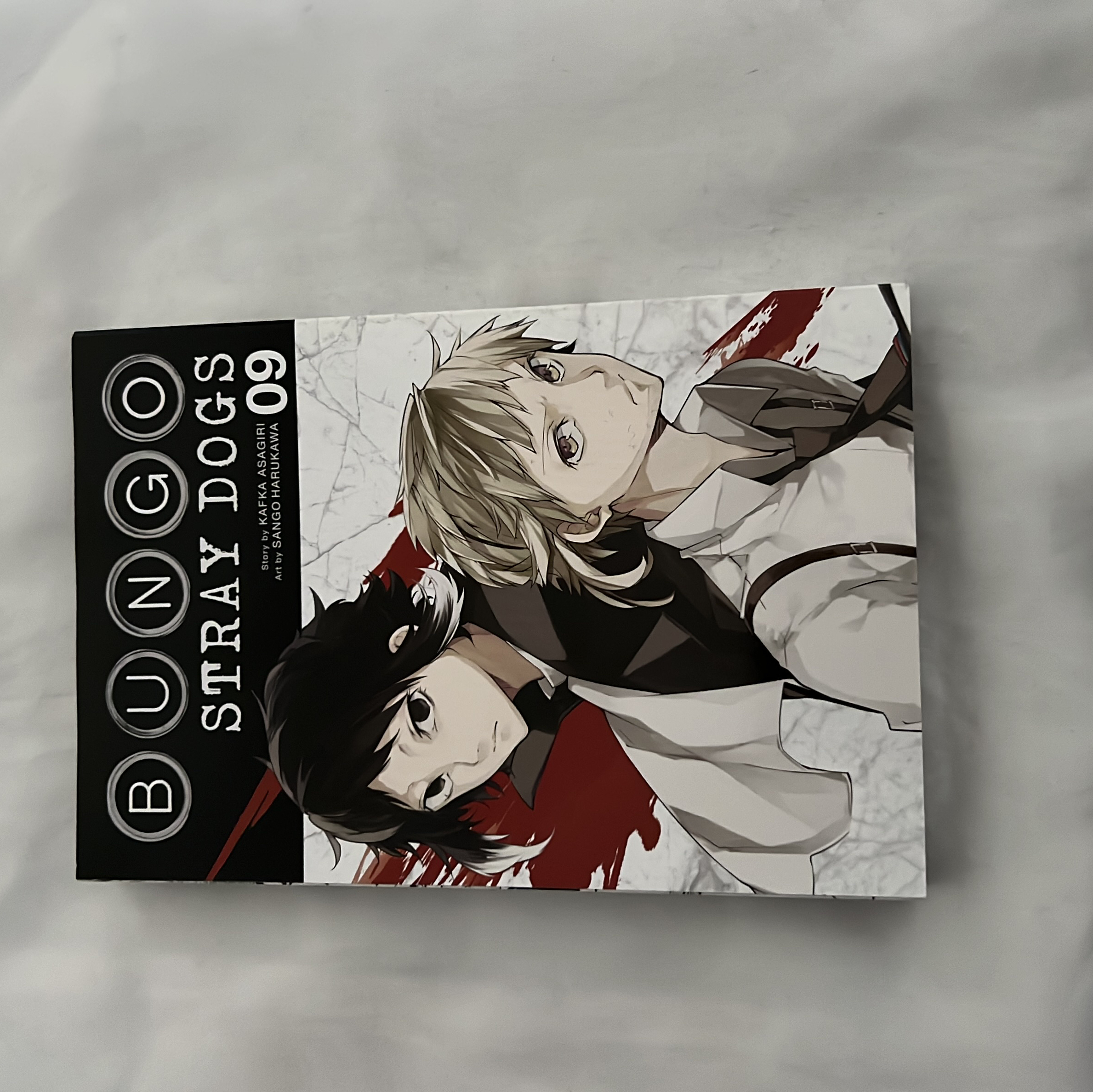 Bungo Stray Dogs, Vol. 9
