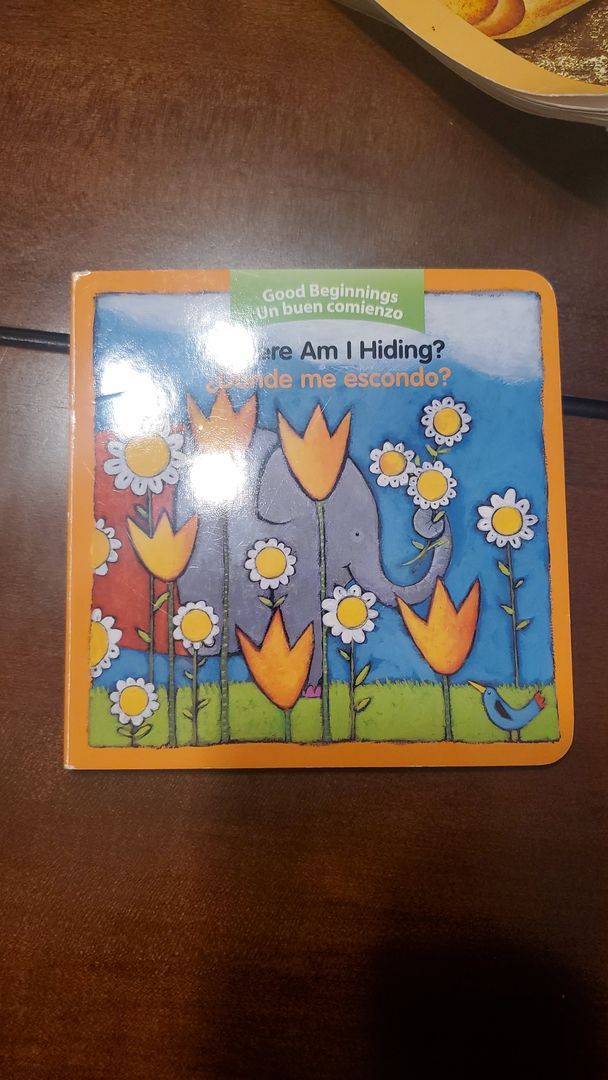 Where Am I Hiding?/¿Donde Me Escondo?