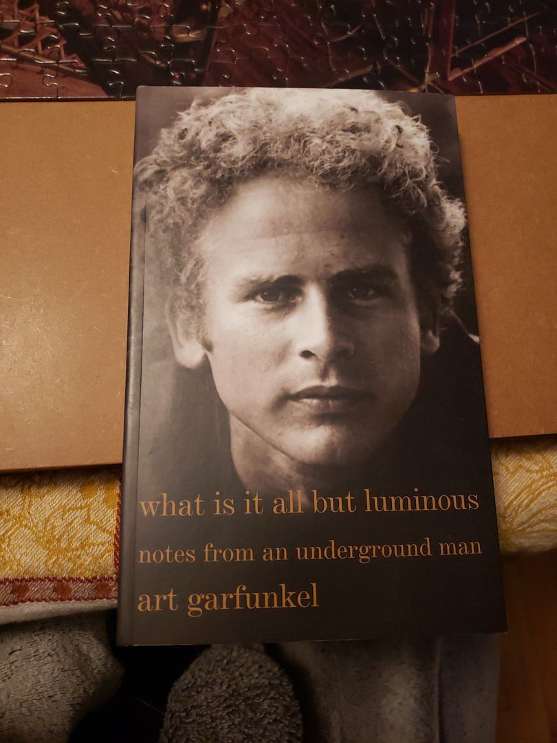 What Is It All but Luminous