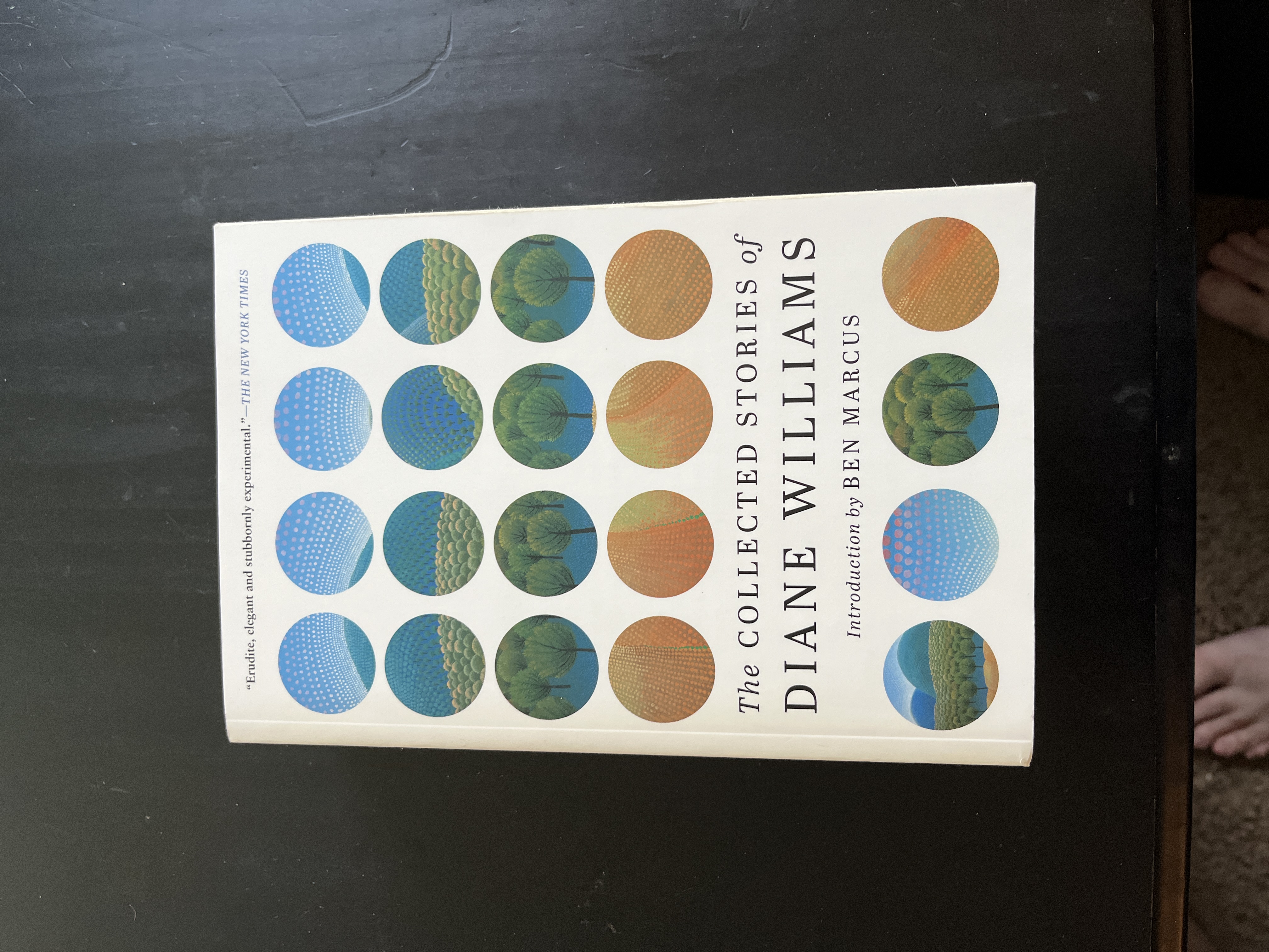 The Collected Stories of Diane Williams