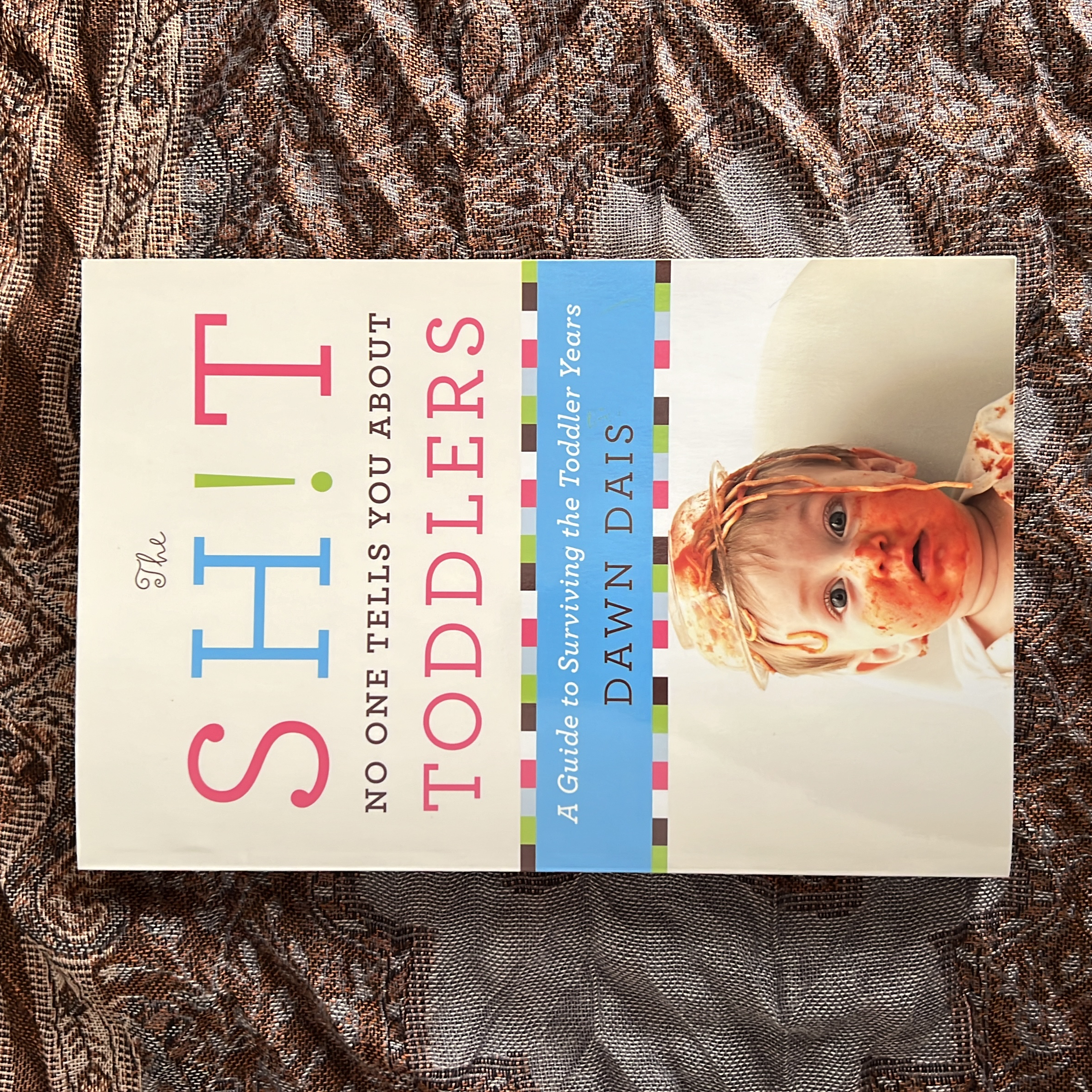 The Sh!t No One Tells You about Toddlers