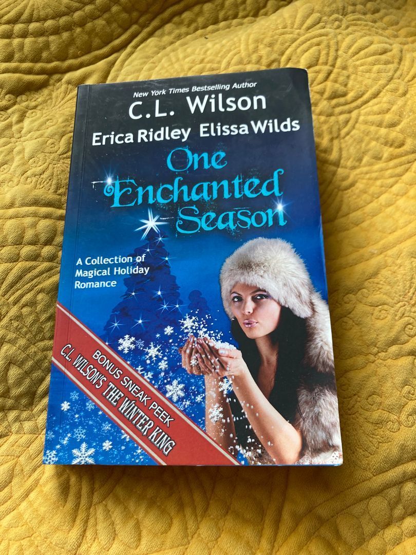 One Enchanted Season