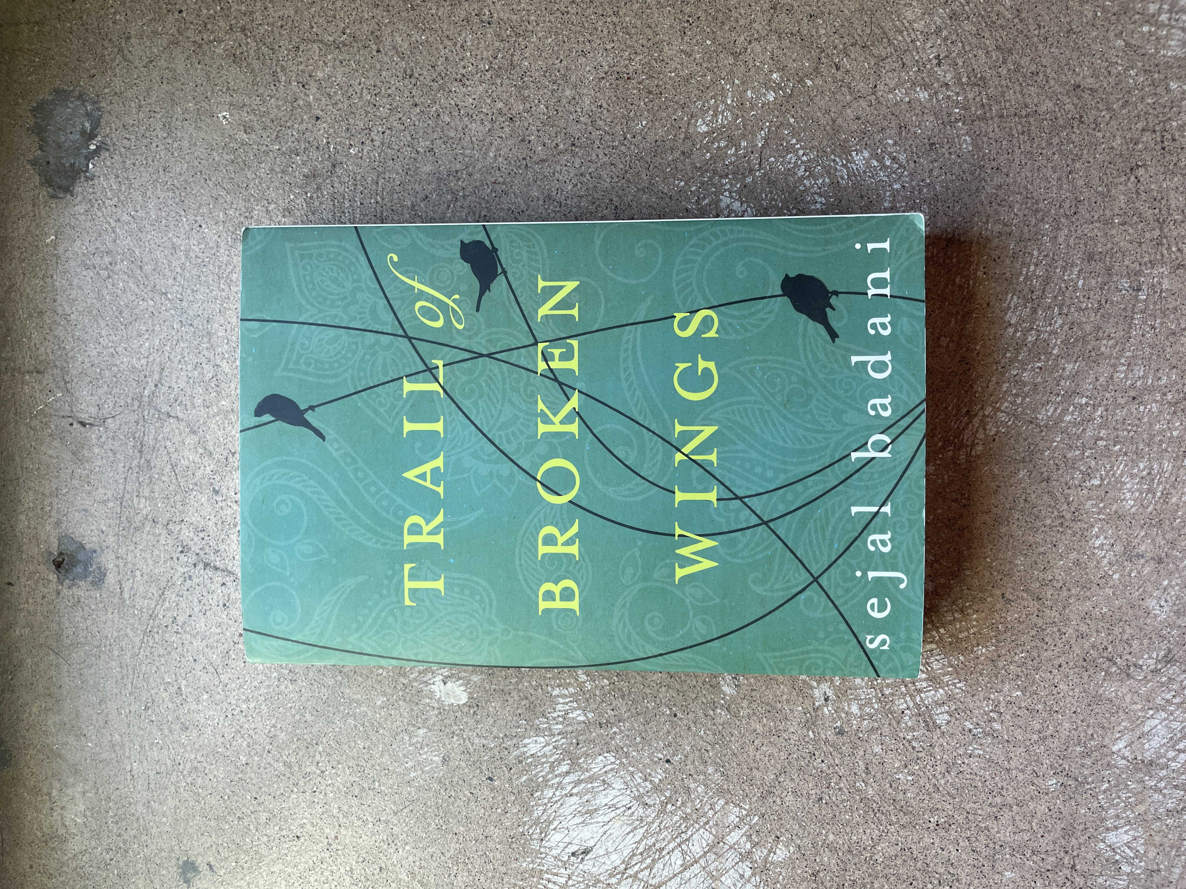 Trail of Broken Wings