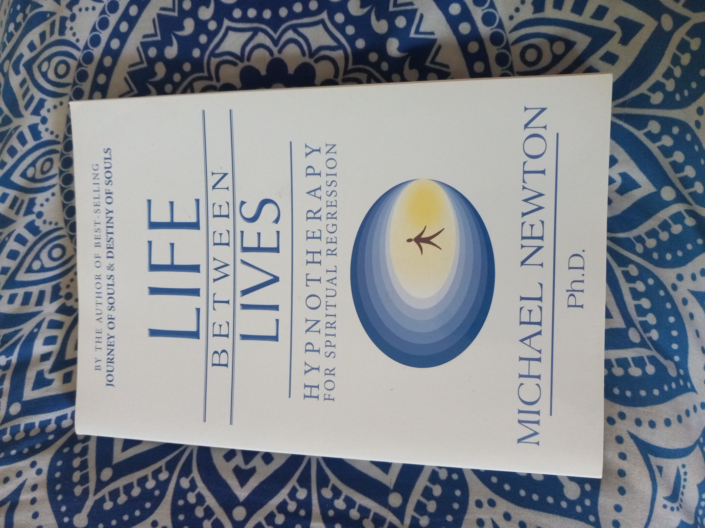 Life Between Lives