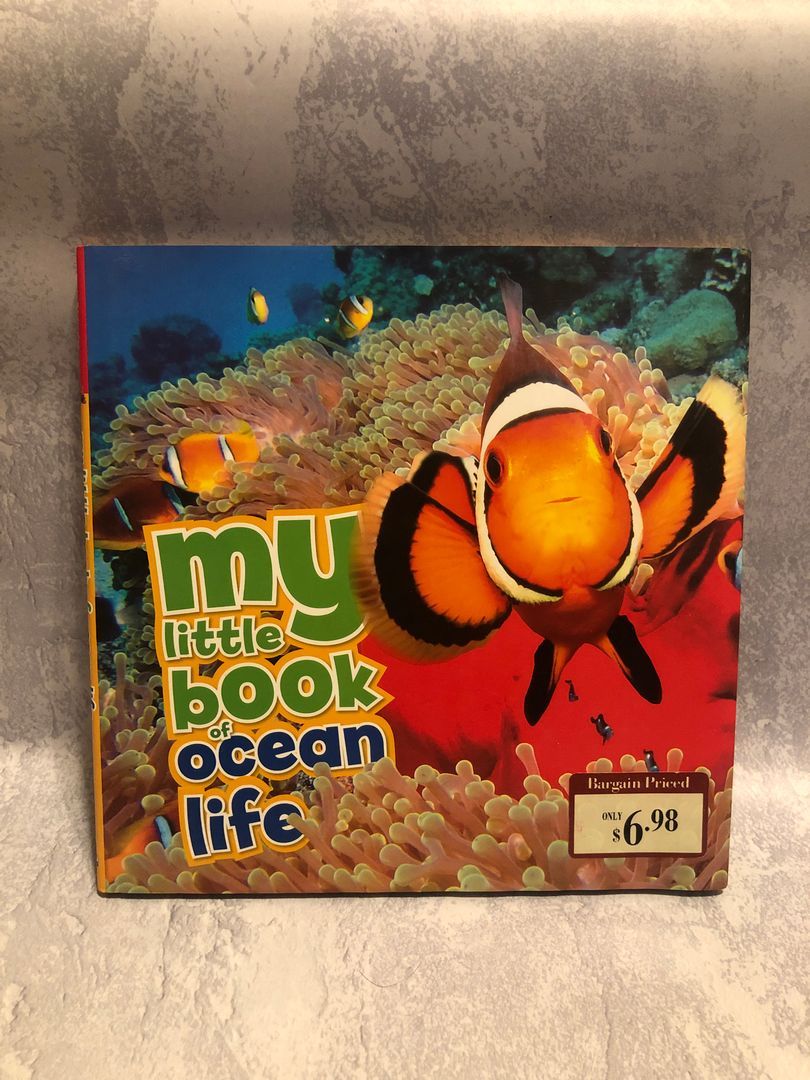 My Little Book of Ocean Life