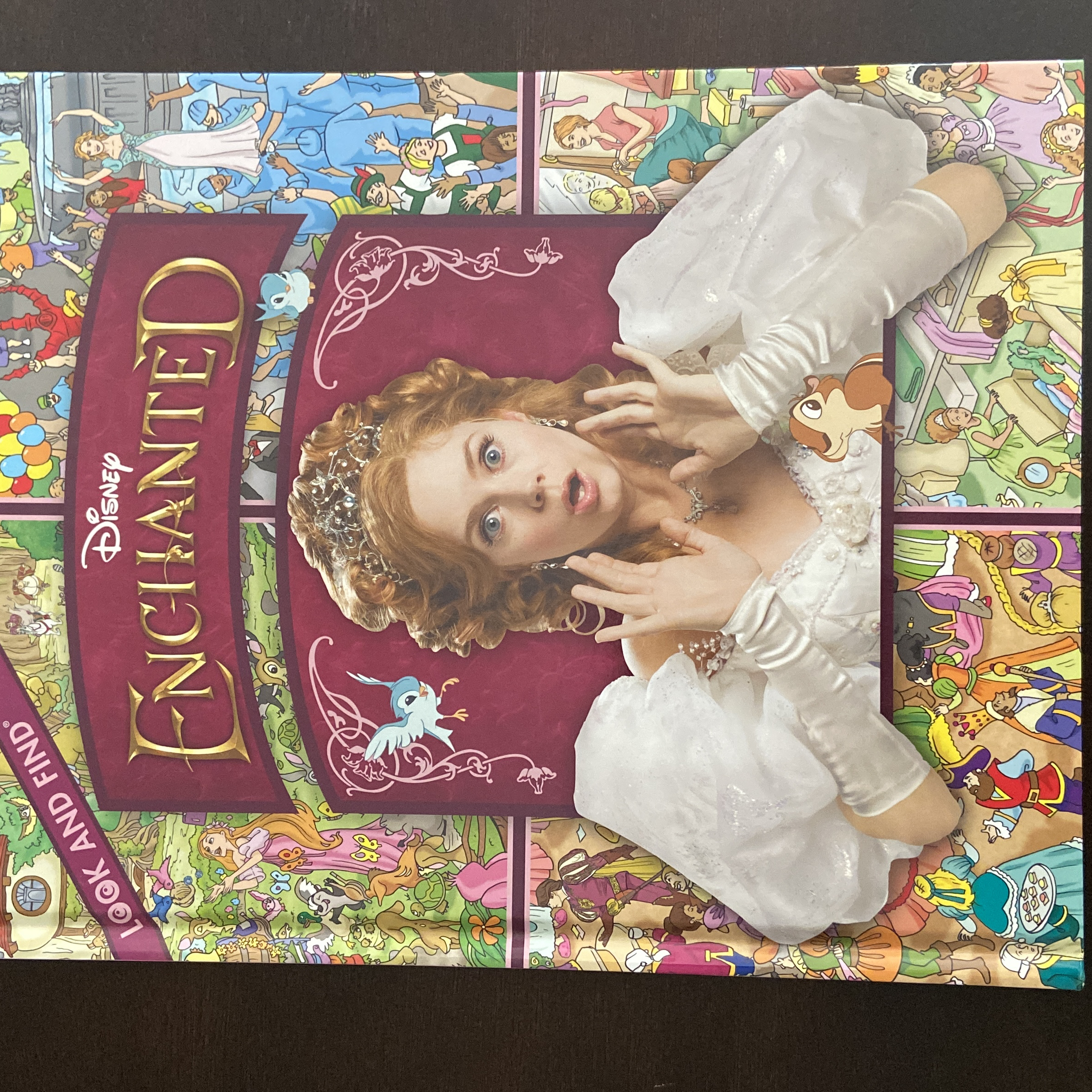Look and Find Disney Enchanted