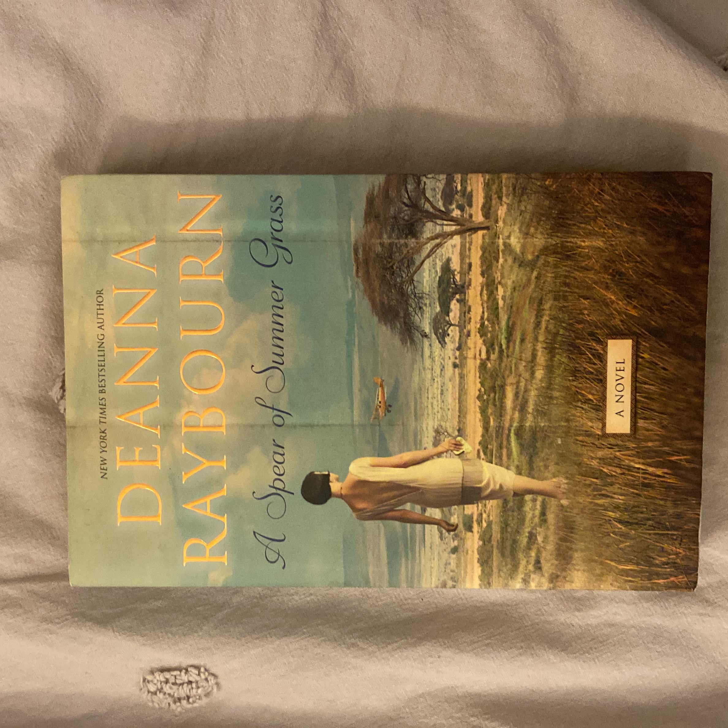 A Spear of Summer Grass