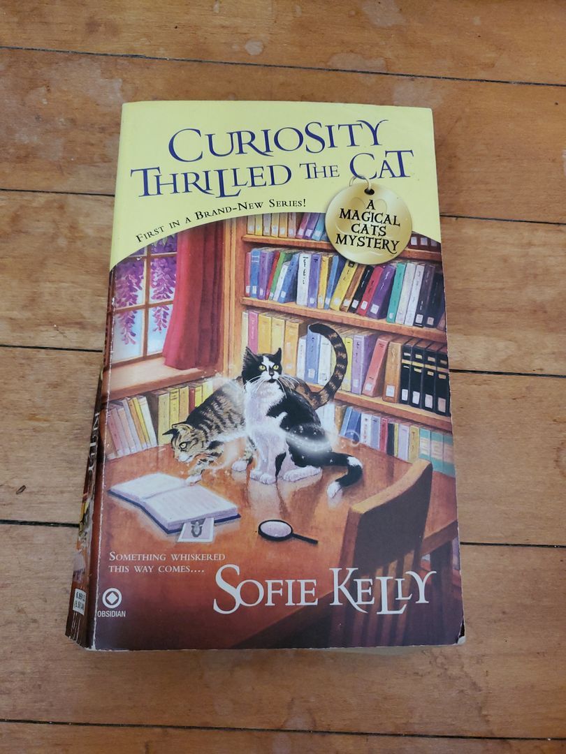 Curiosity Thrilled the Cat