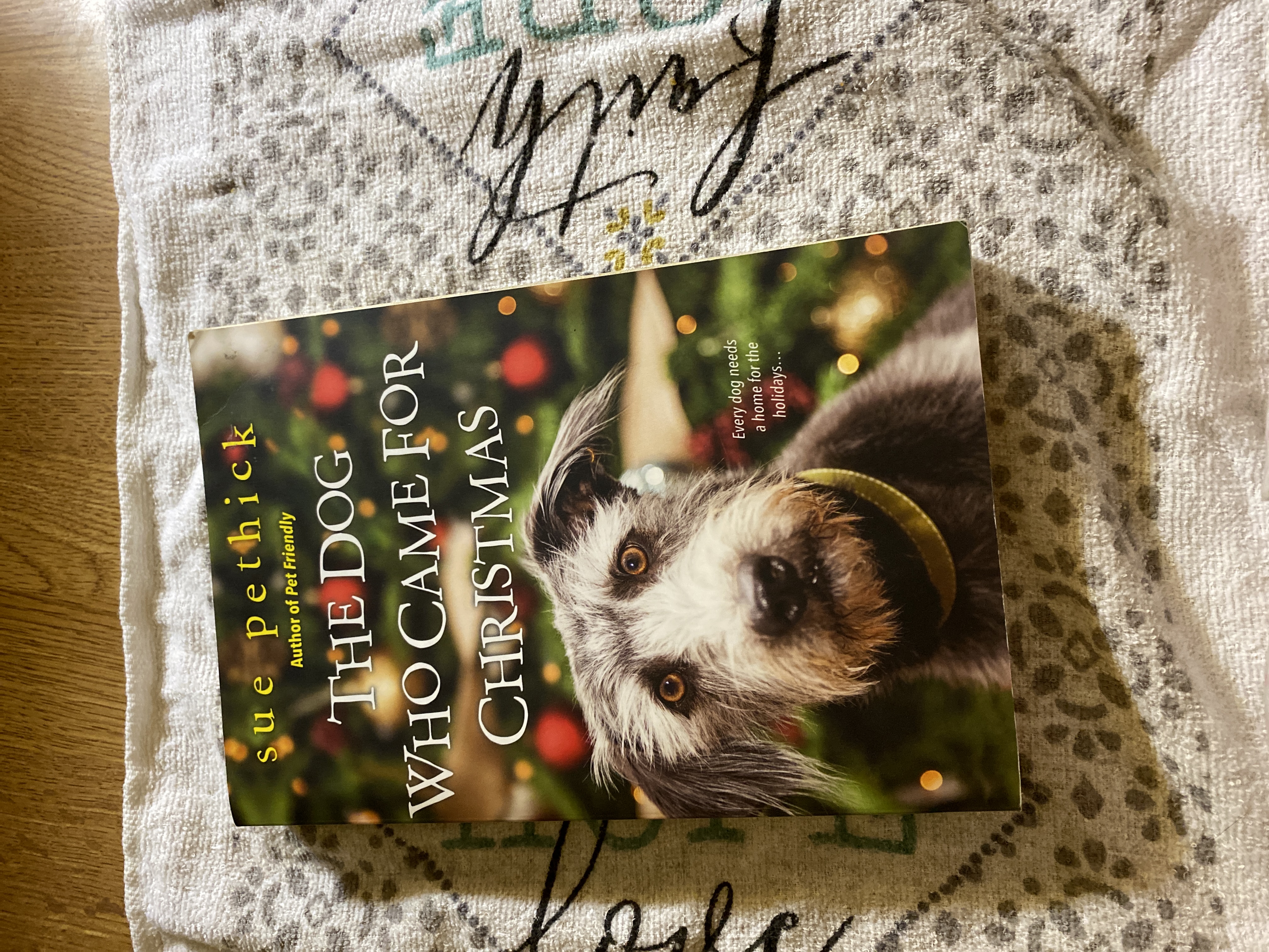 The Dog Who Came for Christmas