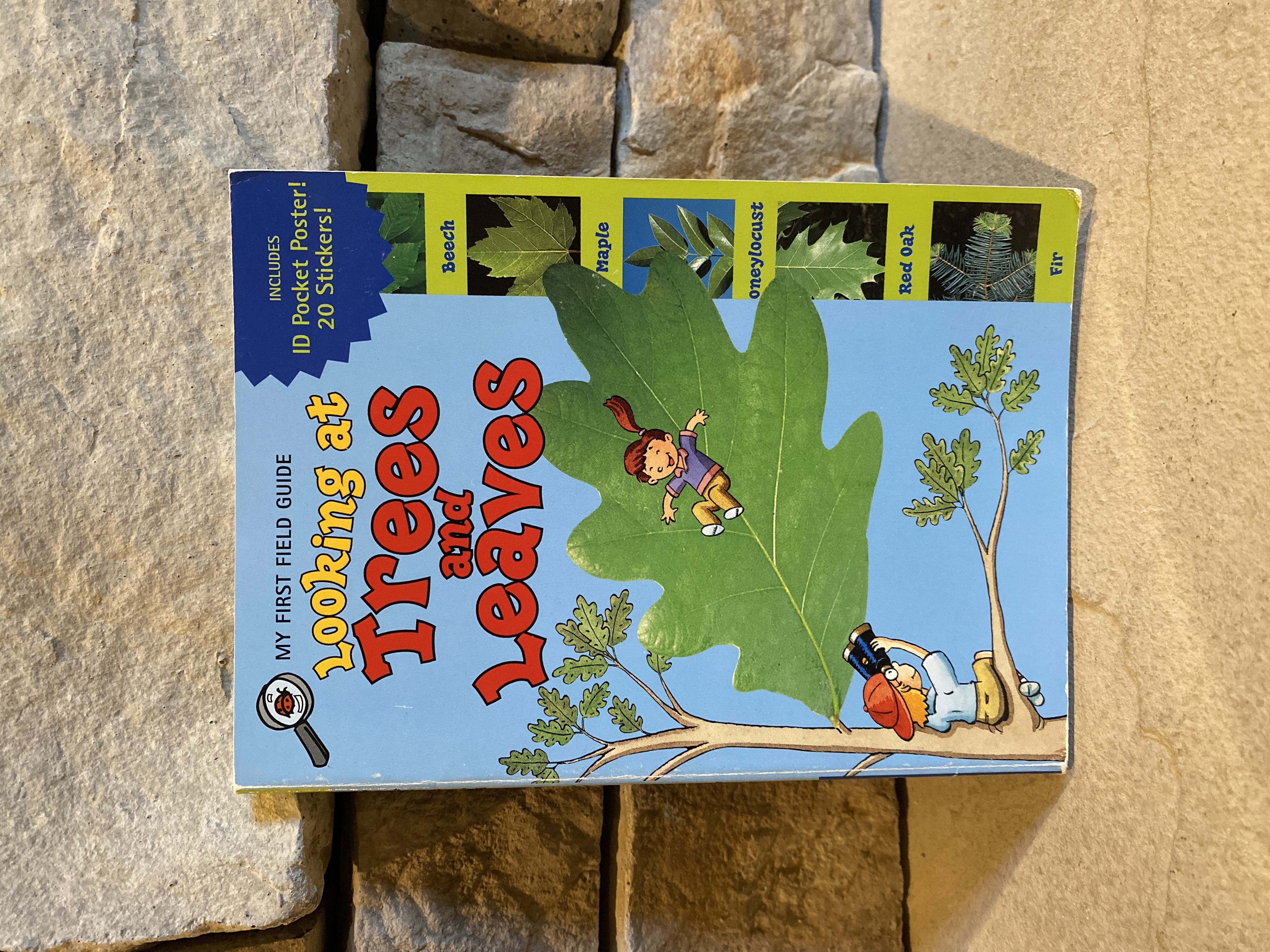 Rapunzel and the Golden Rule/Jasmine and the Two Tigers (Disney Princess)