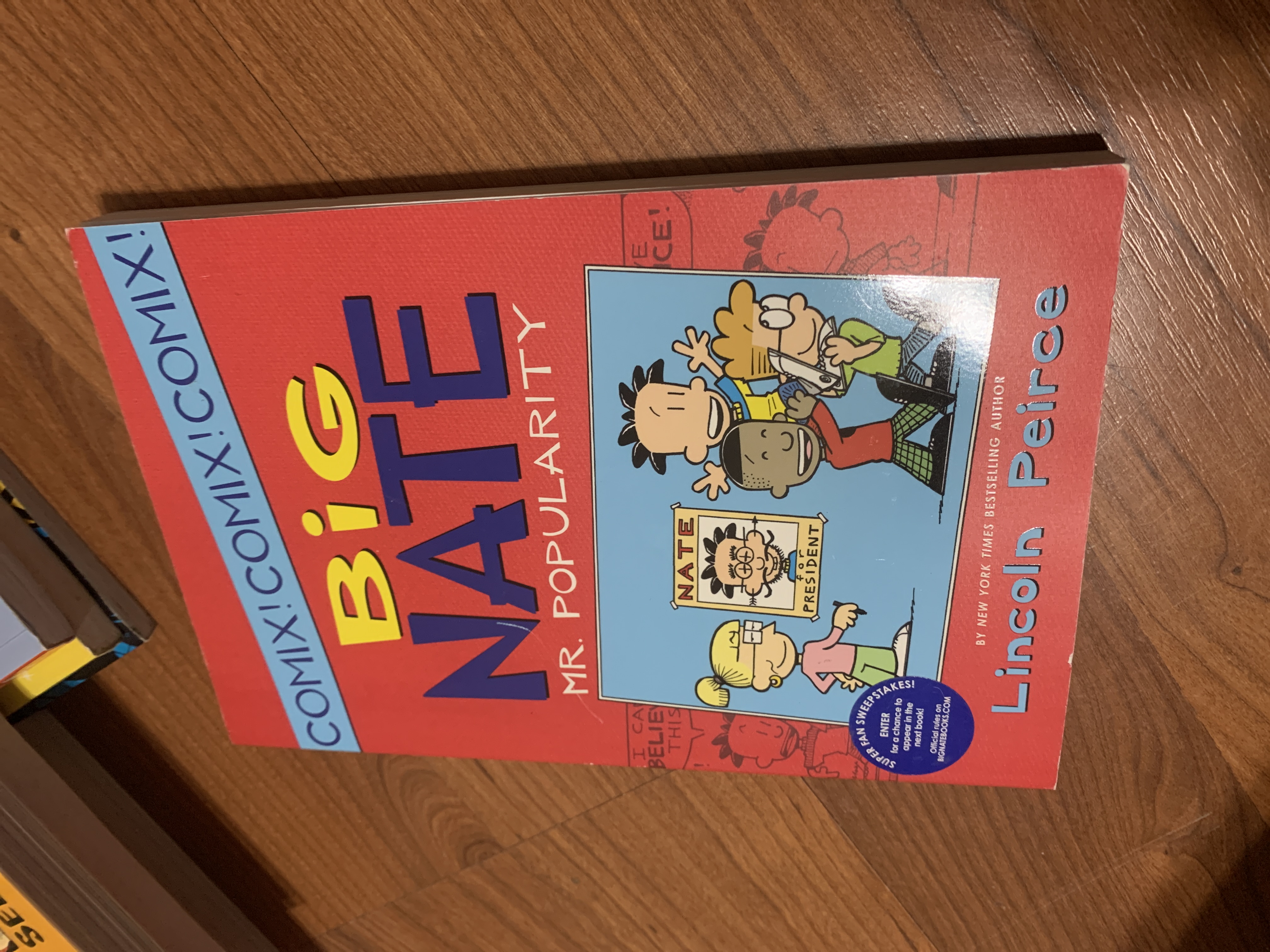 Big Nate: Mr. Popularity