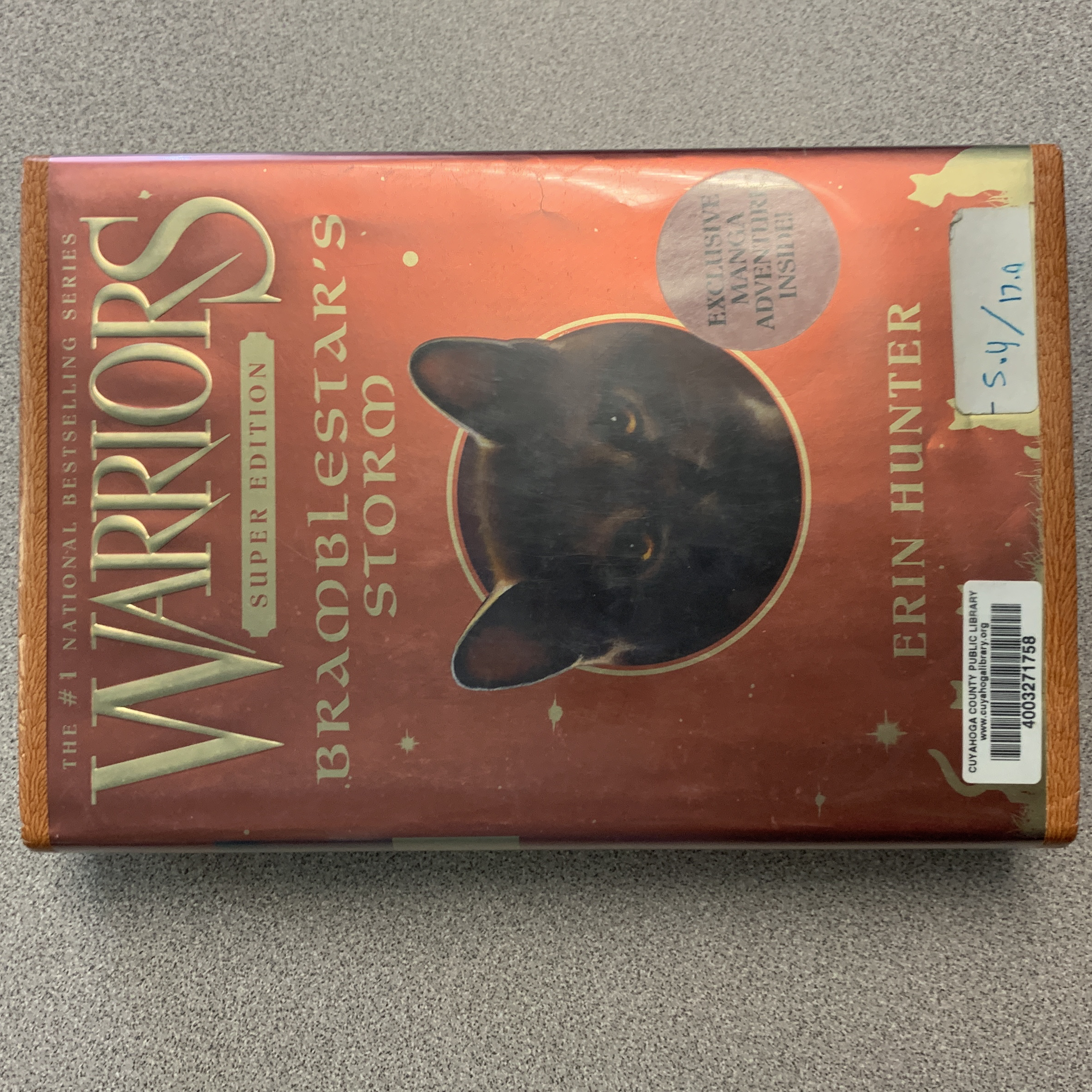 Warriors Super Edition: Bramblestar's Storm