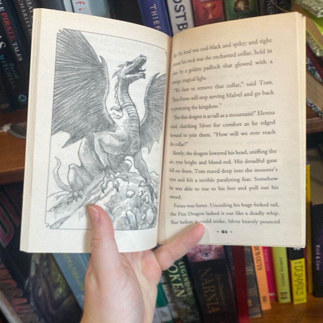 Ferno the Fire Dragon