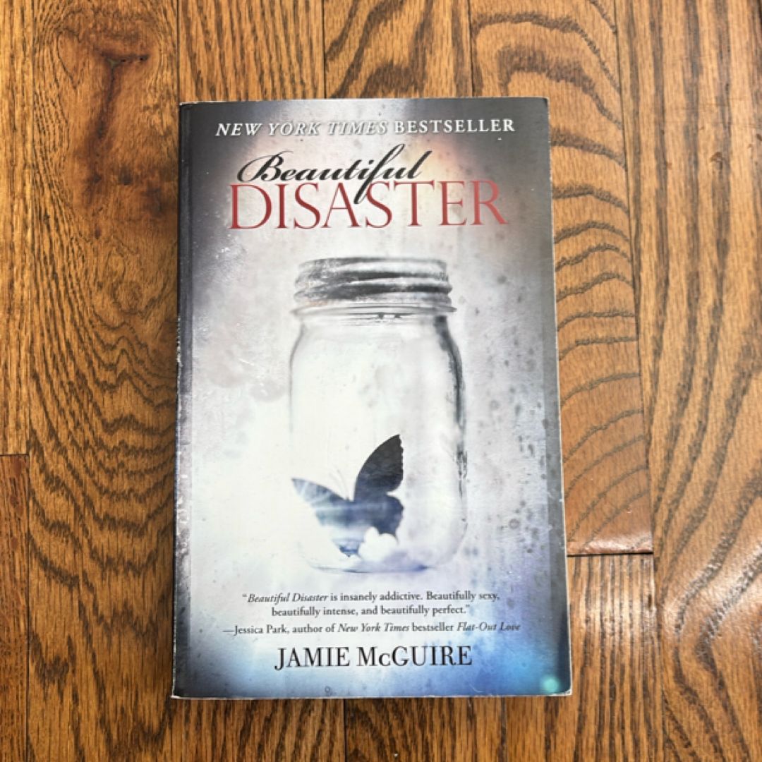 Beautiful Disaster