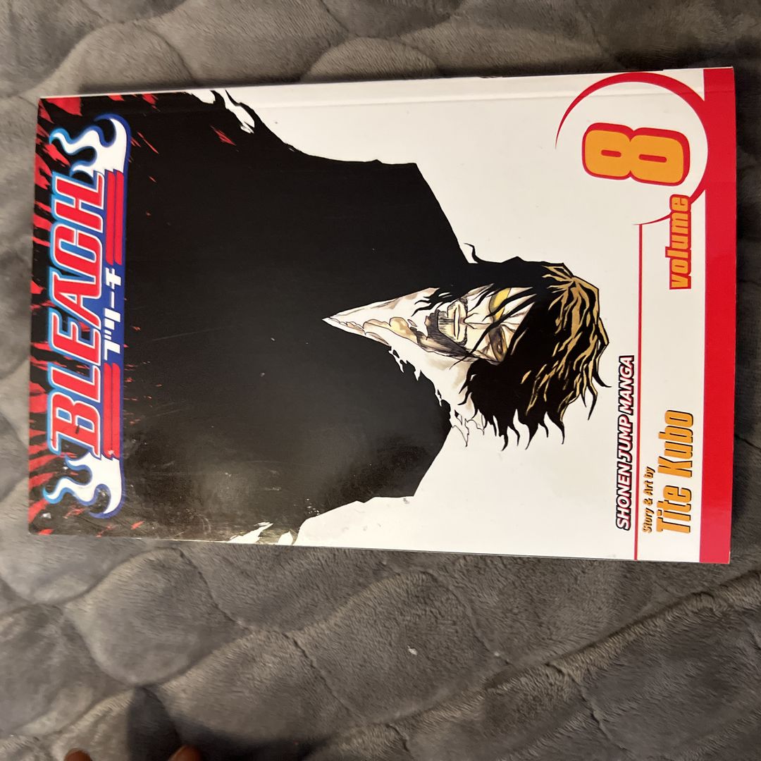 Bleach, Vol. 8